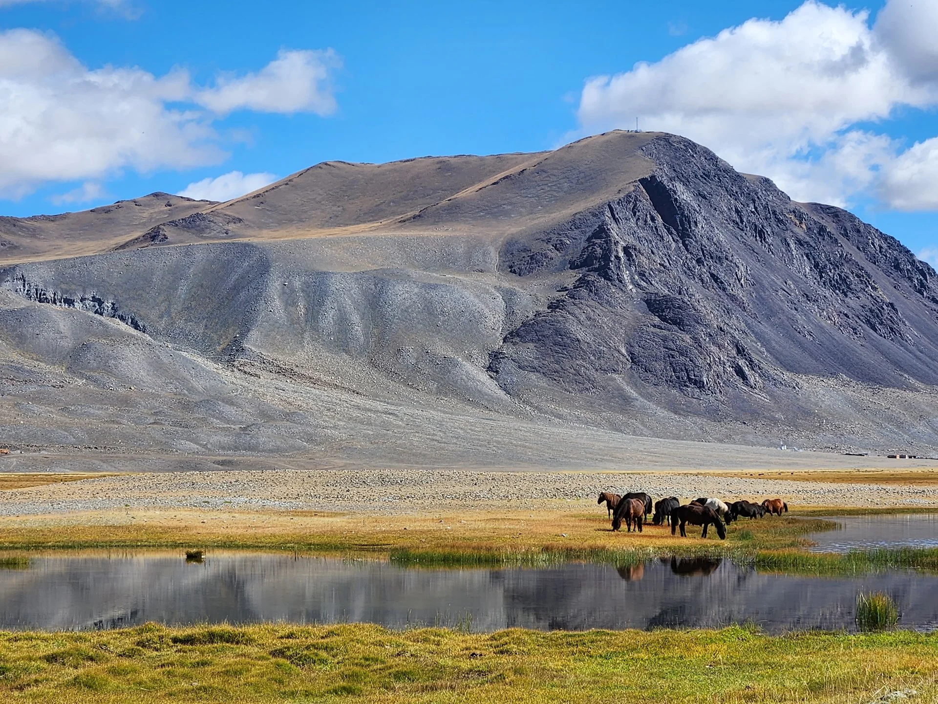 The Steppes Of Mongolia Kate Dernocoeur