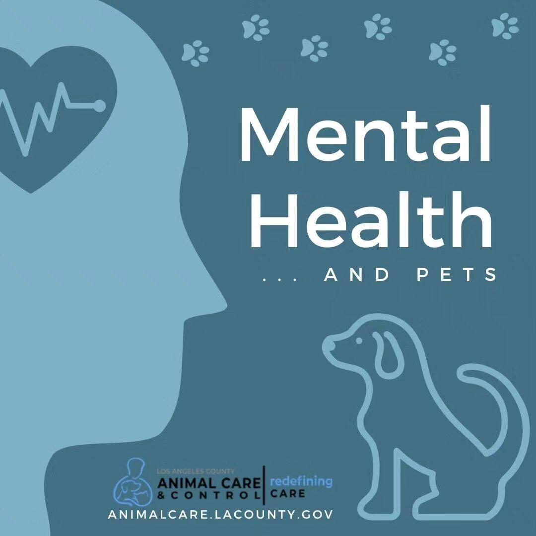 Fur kids make everything better 🥰🐾 

Reposted from @lacoanimals

🐾🧠 May is Mental Health Awareness Month, and we want to remind you of the amazing benefits of pet ownership for improving mental health! 🧡

Studies have shown that owning a pet can
