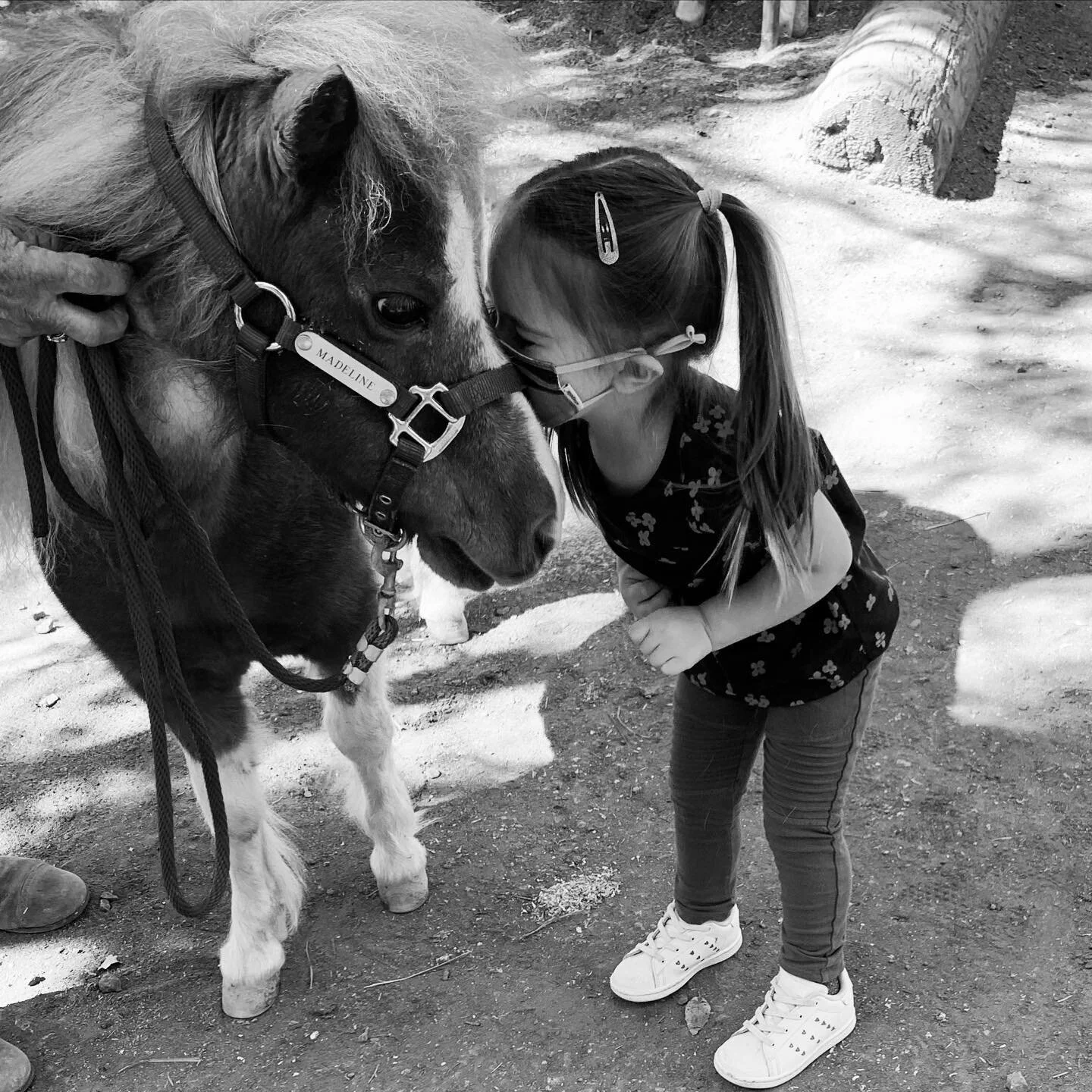 love at first snuggle 💕