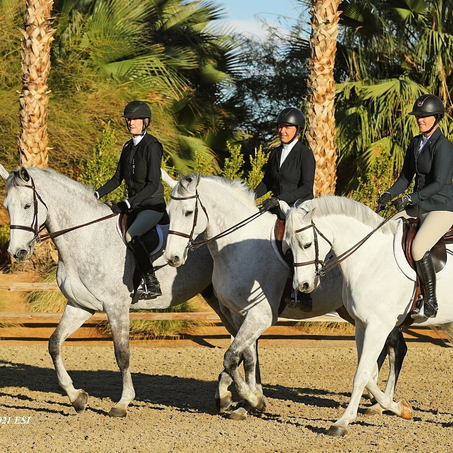 It just runs in the family 💁&zwj;♀️ congratulations to the Karazissis family for winning the Family Class last night down in the desert! 🏆