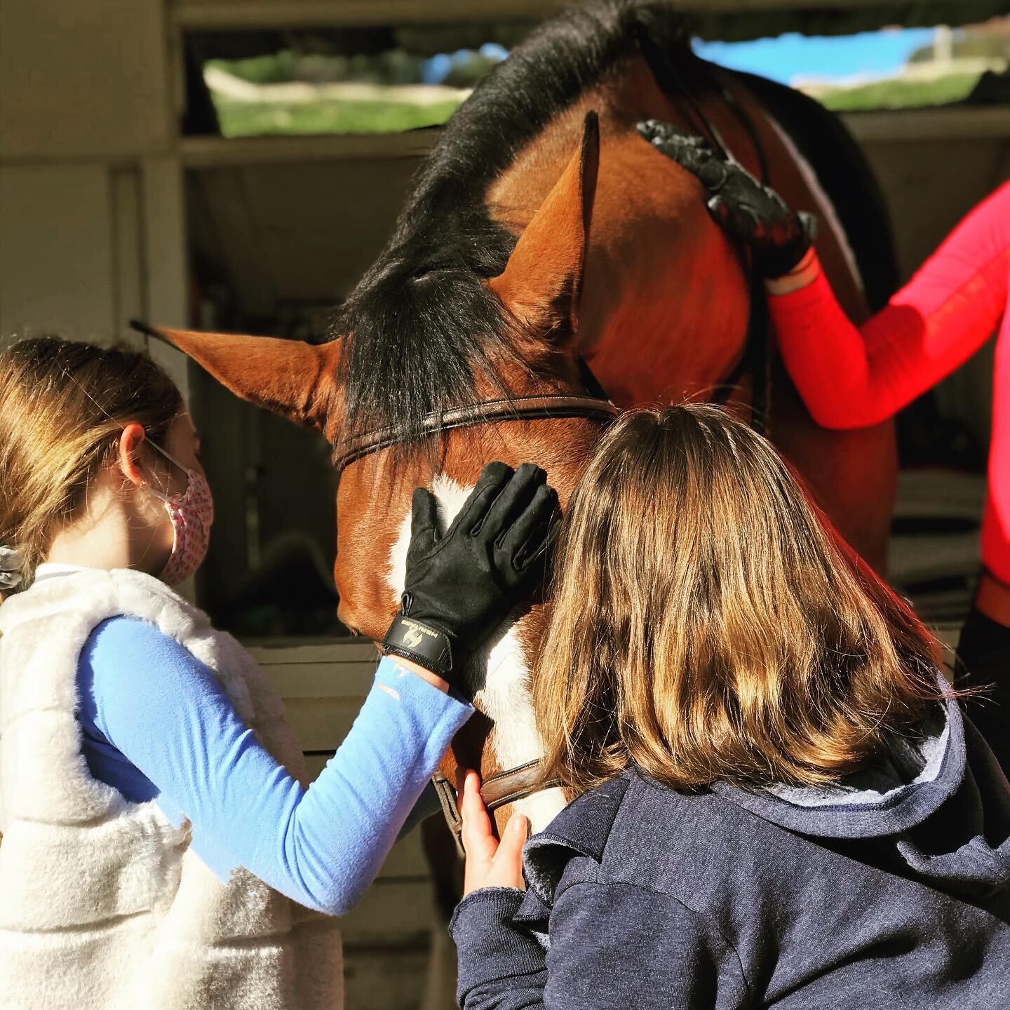 &ldquo;No matter how big you get, always remember the little people&rdquo;! 🥰 Okay, maybe that saying WASN&rsquo;T referring to 18.2 hand horses and little kids, but we think it still applies here. Fabio loves his fans!