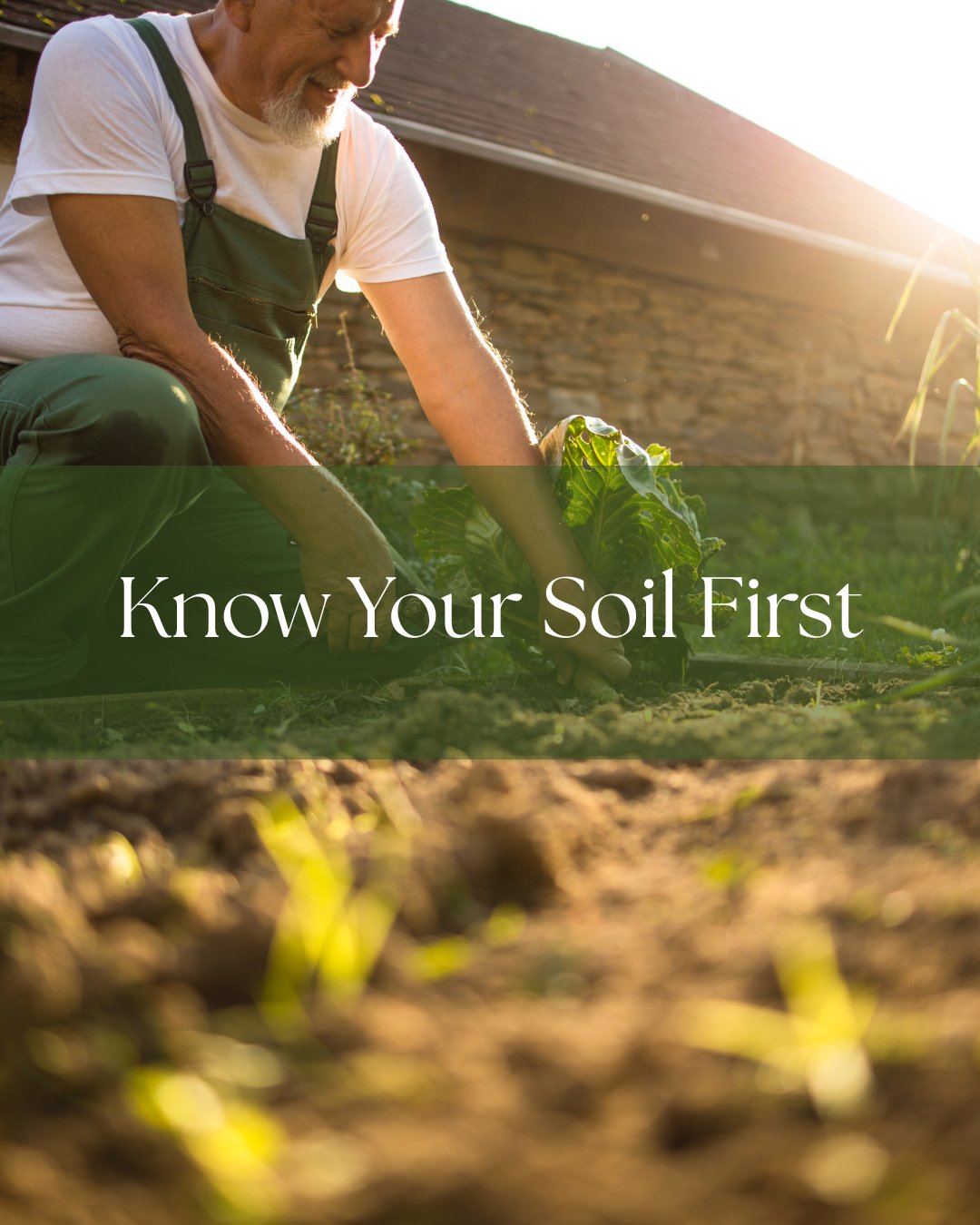 Small choices restore the ground beneath us. Here&rsquo;s how to start:⁠
⁠
Know Your Soil First⁠
Touch it. Smell it. See where water gathers or runs off. Healthy soil has signs of life. Learn its needs before planting anything.⁠
⁠
Compost One Thing⁠
