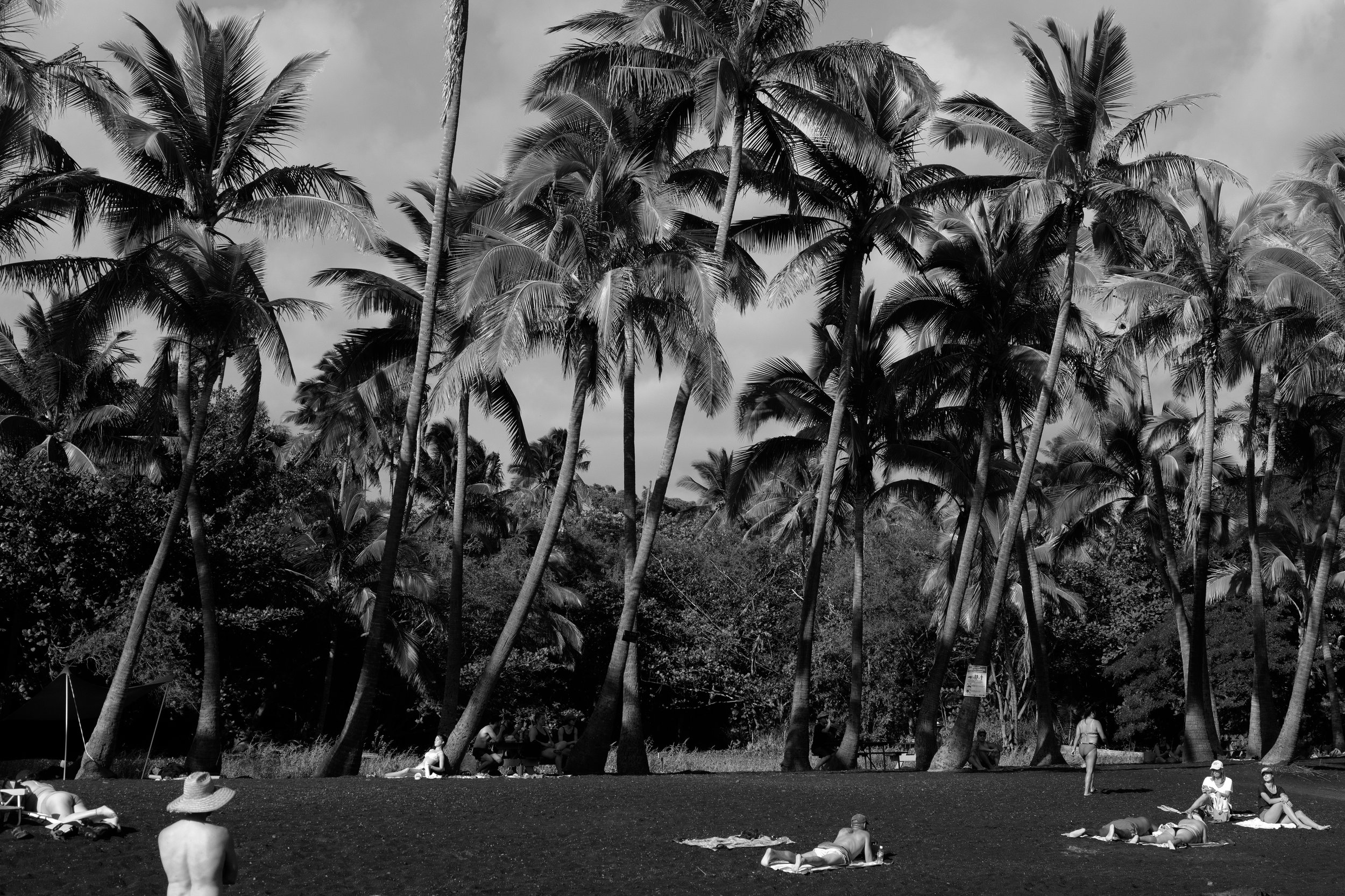 _MG_1569-2-bw.jpg