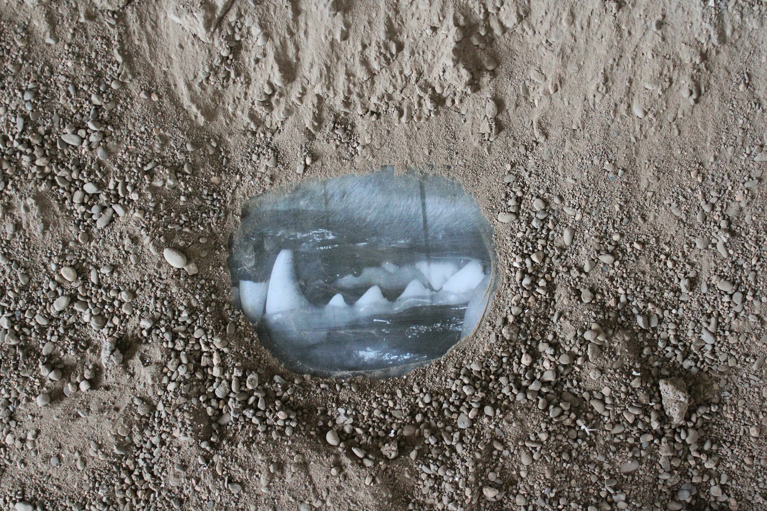 Molecular Vibration, 2018