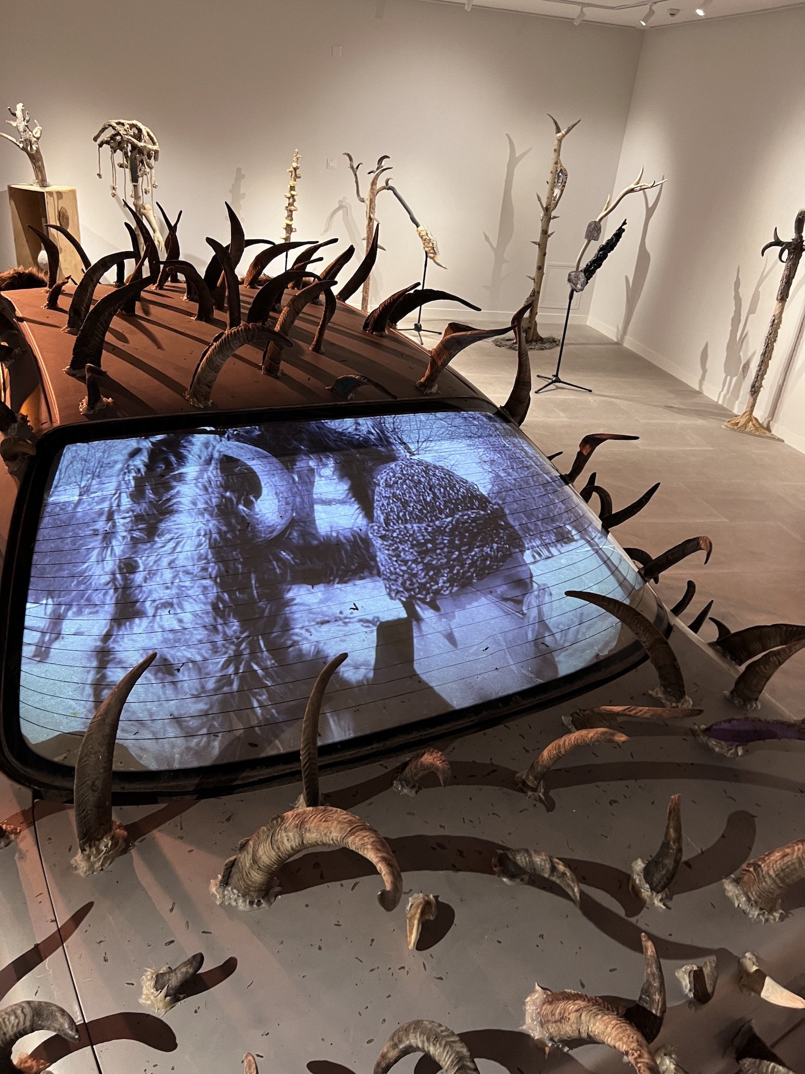 Secondary Growth at Lkham Gallery-2