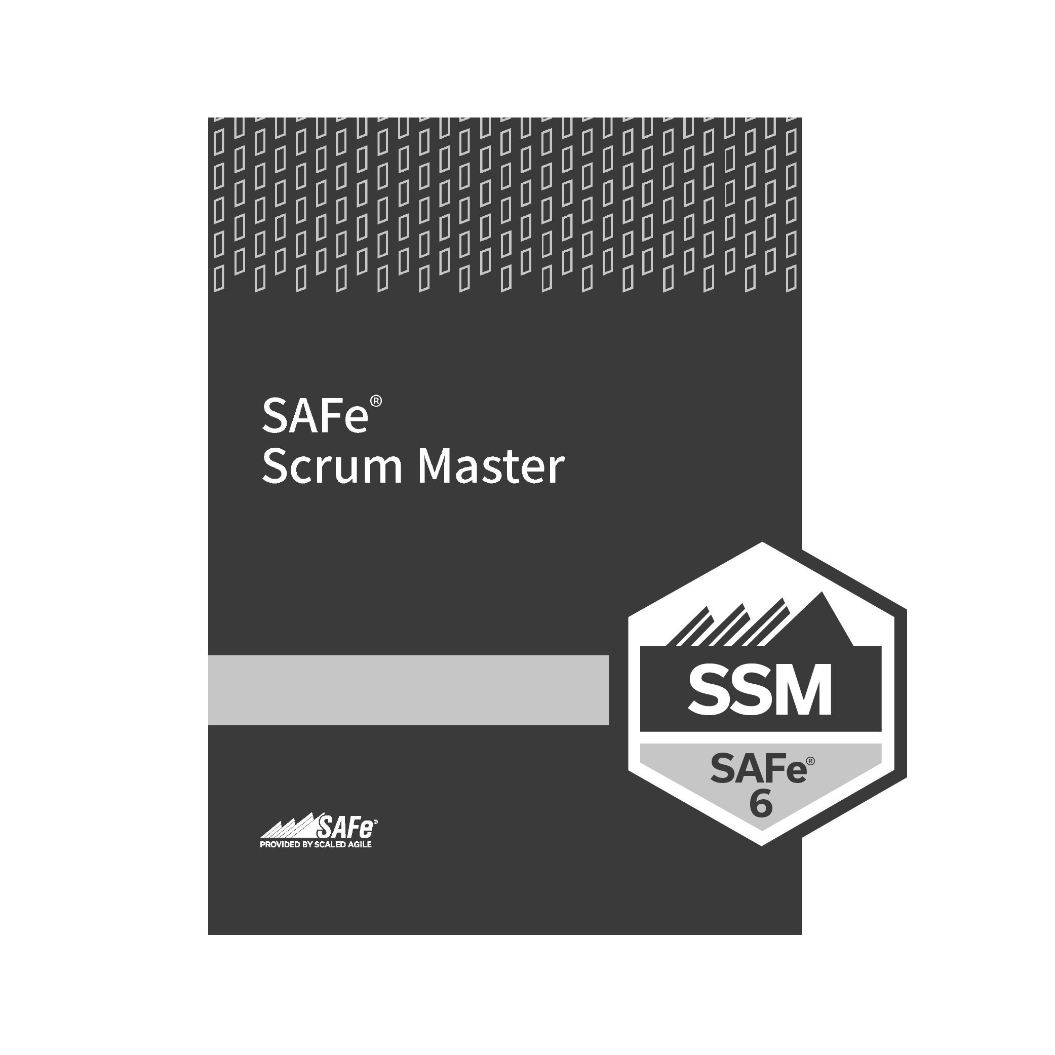SAFe-6-Course-Cover%2BThumbnail_SSM.jpg