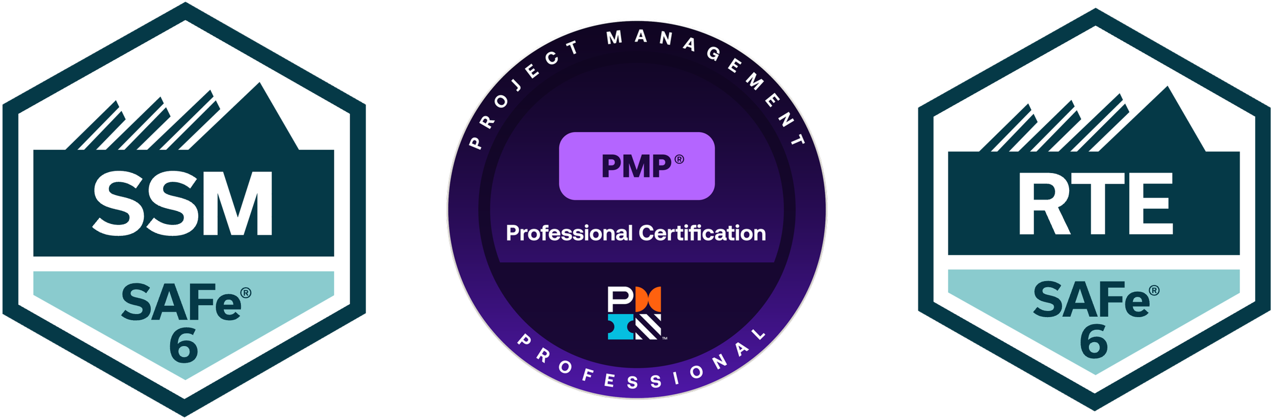 RTE + PMP + SSM -Agile Program Execution – Independent