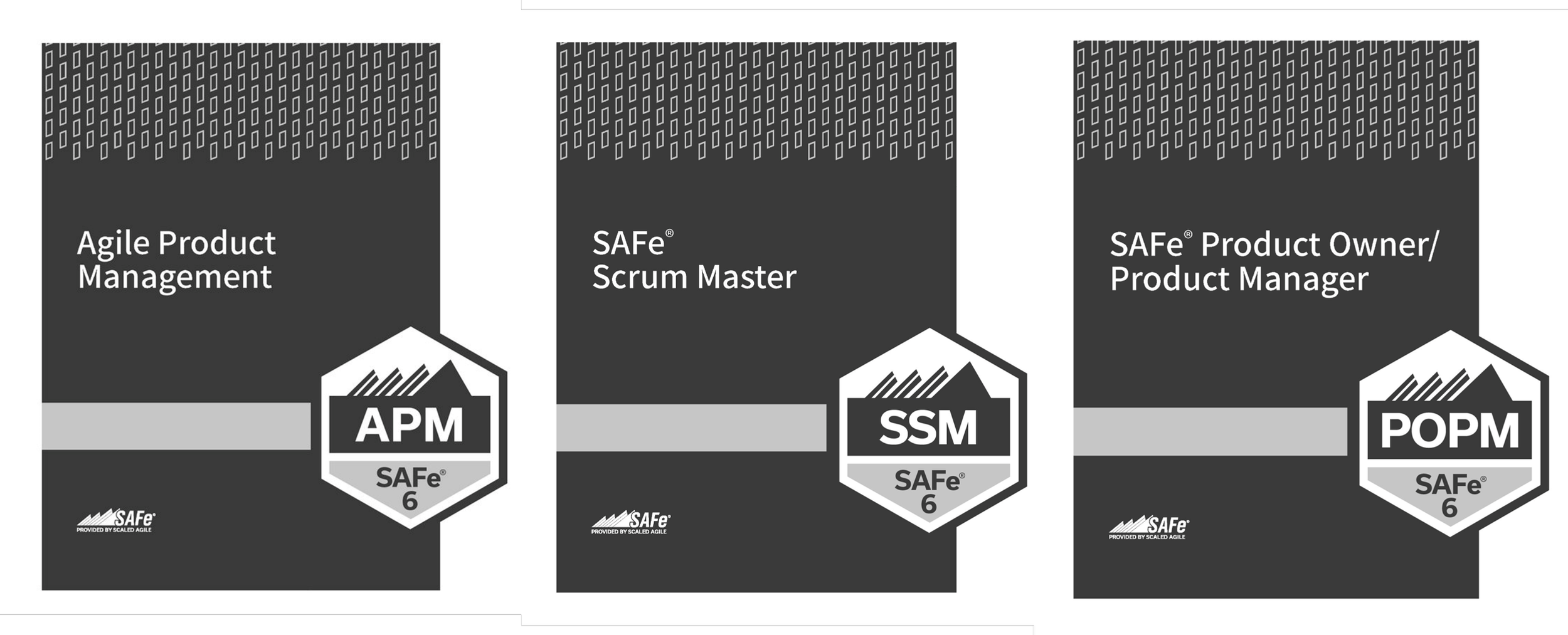 APM + SSM + POPM.png