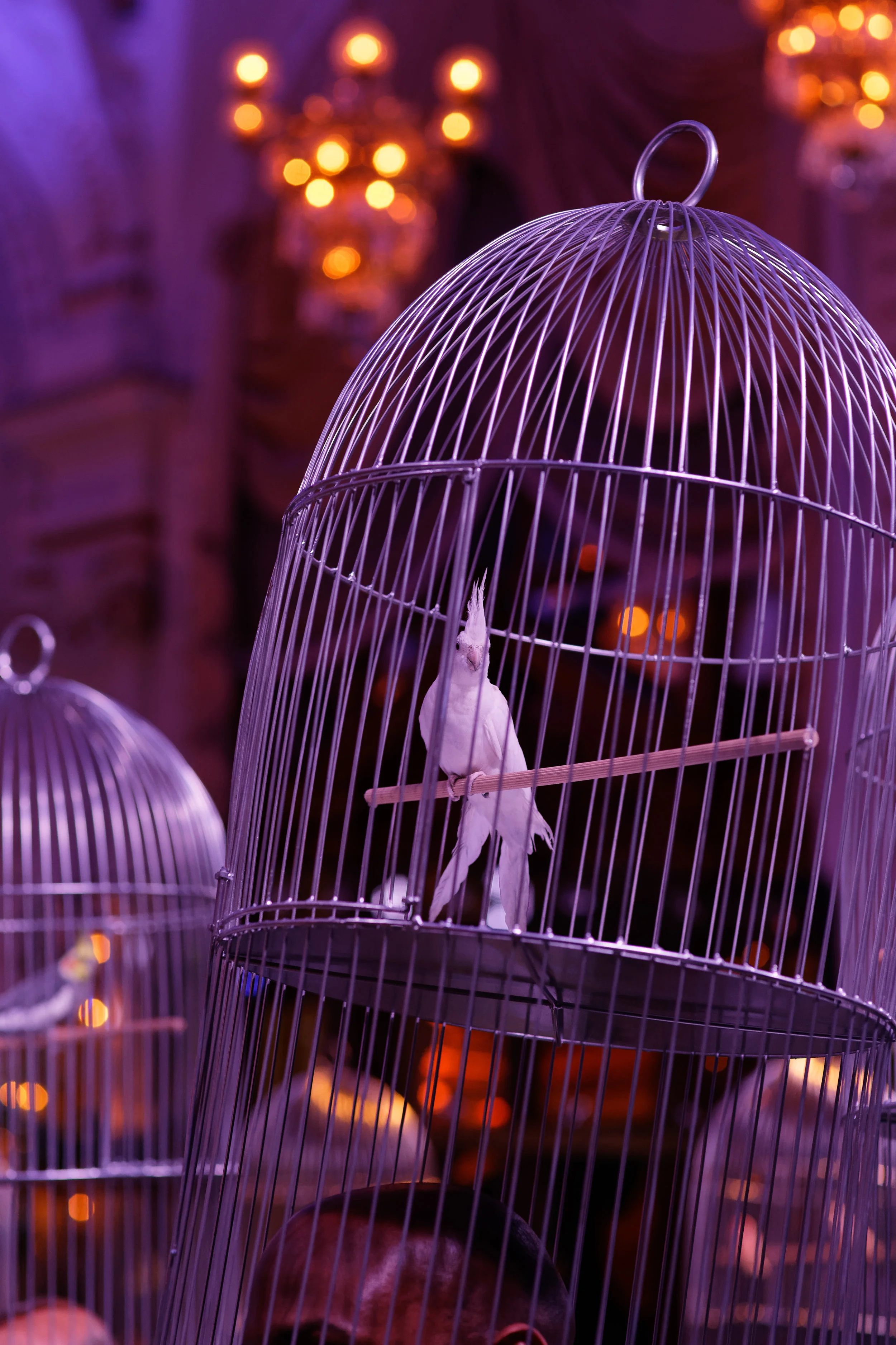 SBM_CA-Special-Event-Surrealist-Dinner-0066.jpg