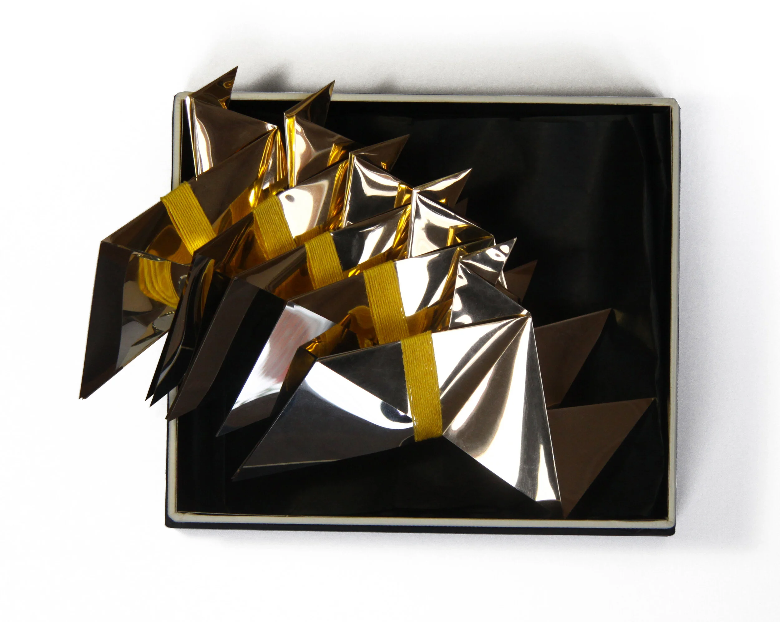 P6.jpg