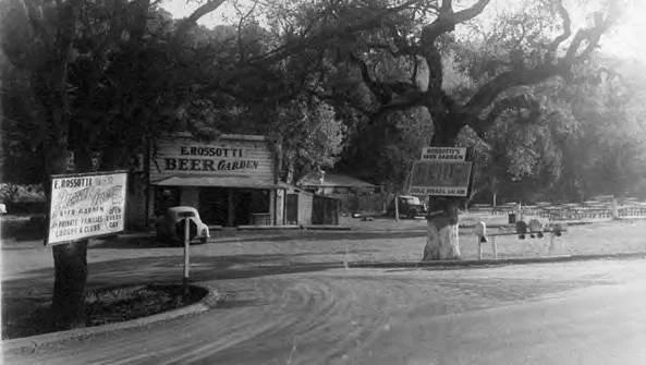 rossotis pahistory copy.jpeg