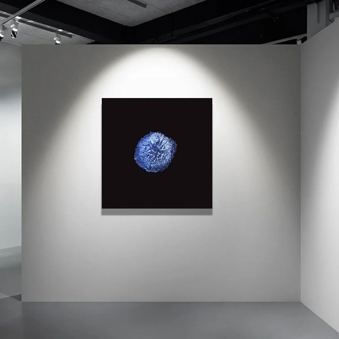 emulsion-bloom-new-contemporary-art-glass-negative-cyprus-sergis-hadjiadamos-2025-c.jpg