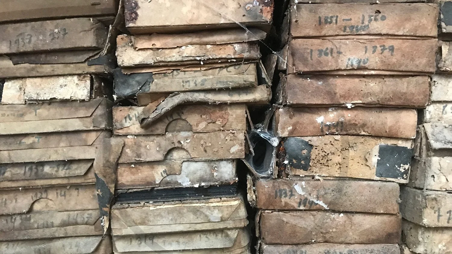 Exploring the Metamorphosis Project: Digital Art from Deteriorated Glass Negatives