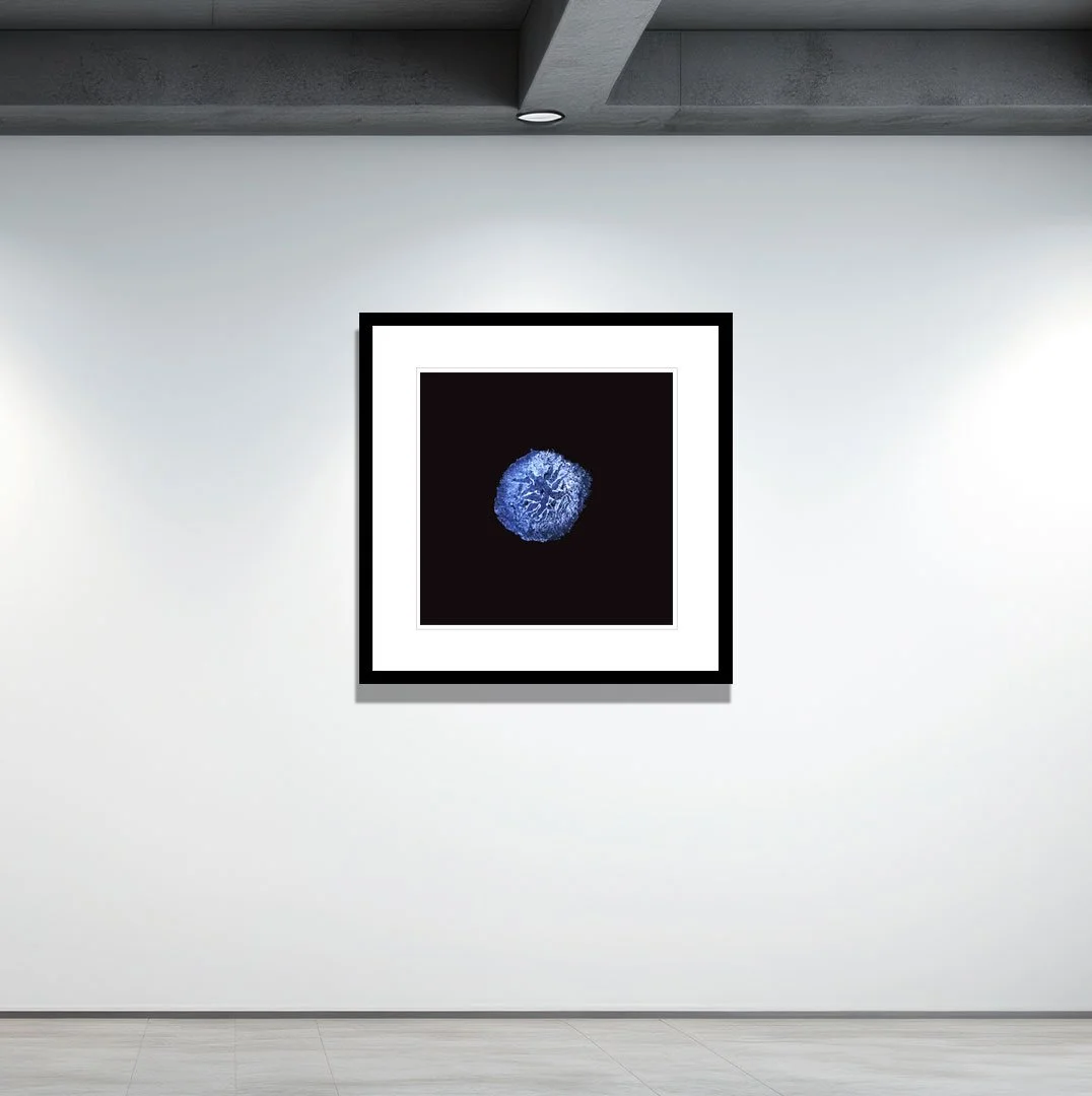 emulsion-bloom-new-contemporary-art-glass-negative-cyprus-sergis-hadjiadamos-2025-gallery.jpg