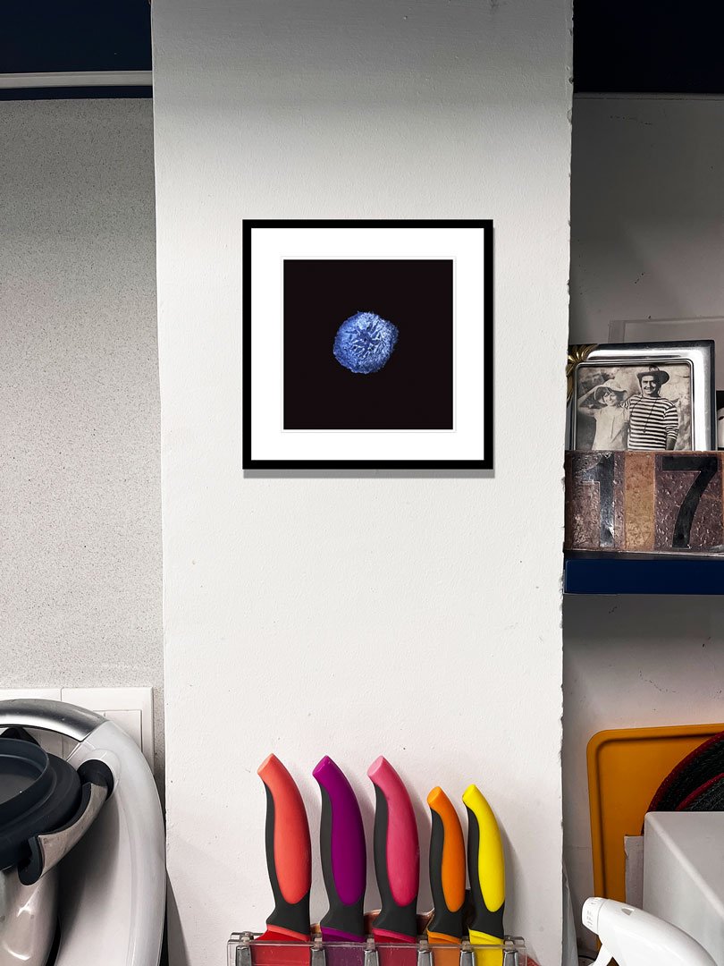 emulsion-bloom-new-contemporary-art-glass-negative-cyprus-sergis-hadjiadamos-2025-kitchen.jpg