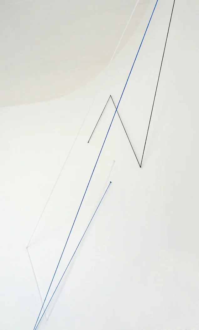 Untitled, 2018 Enter Art Foundation, Berlin white, blue, black wool and nails, various dimensions