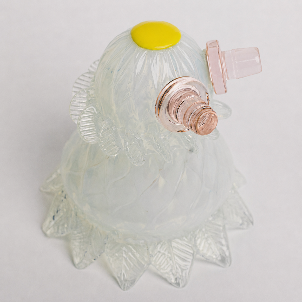 Second_Chance_Shiny_Daisy_1.png