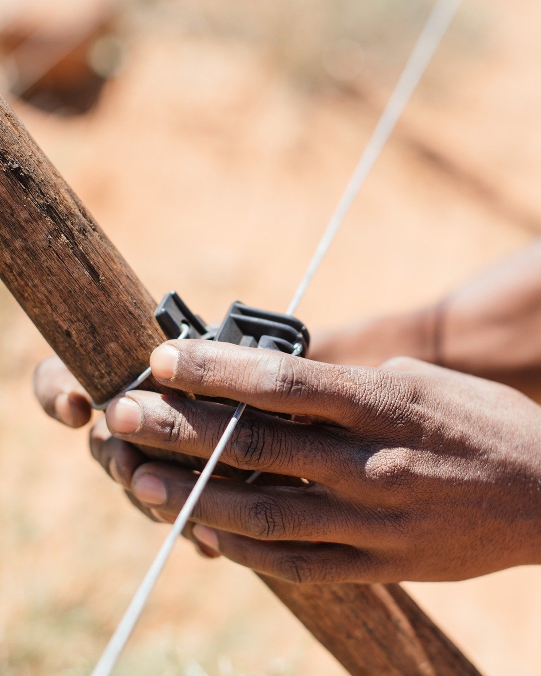 When Kameelhoek was first taken over, it was littered and scarred.

Old fencing, rusted wire, and debris were cleared by hand and with care.
With time, the soil began to breathe again, and nature found its way back. Each footprint in the sand is a si