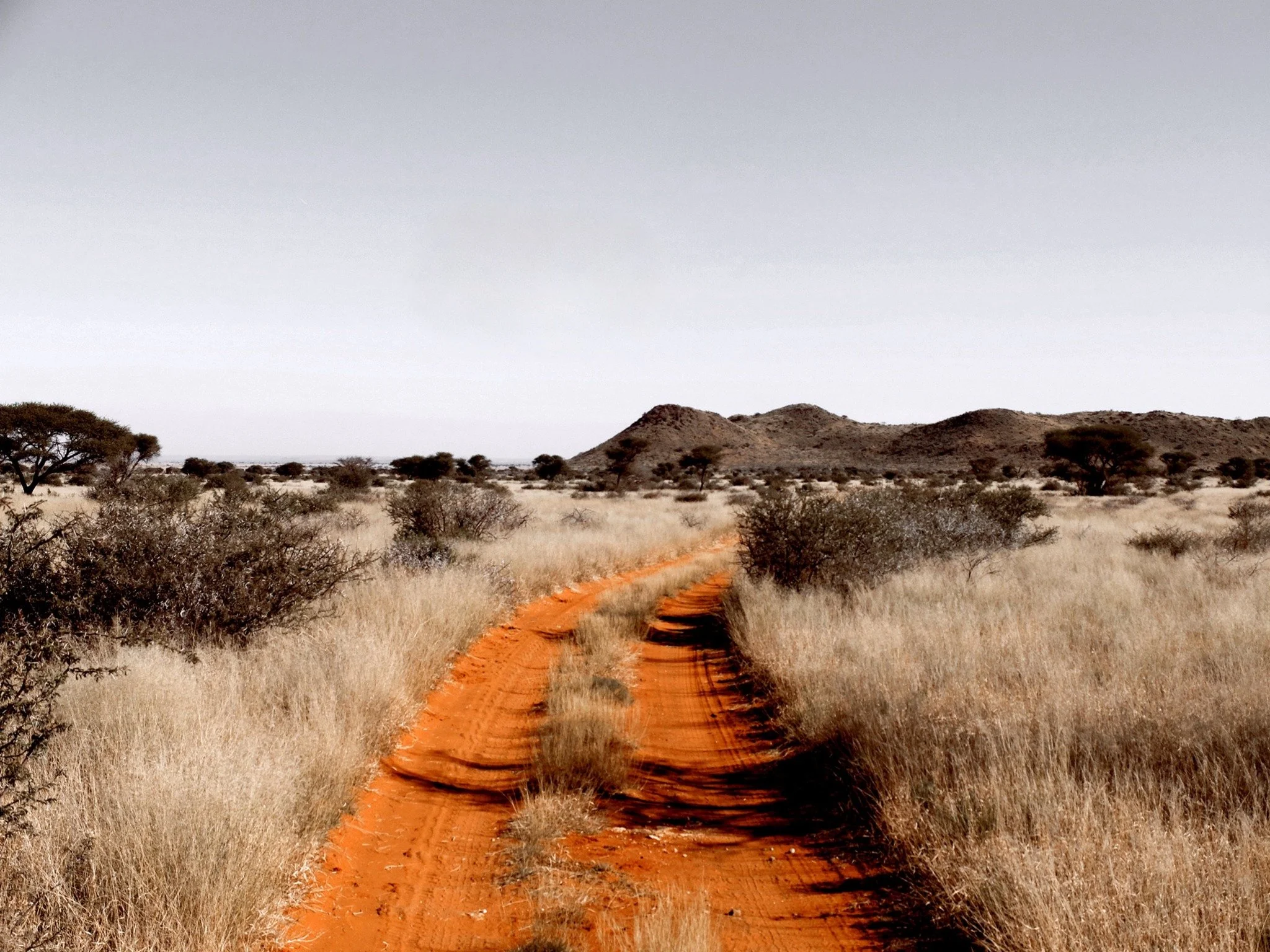 Sometimes the most profound moments are the quiet ones. The ripple of grass in the wind, the low call of a korhaan at dusk, the soft breath of the earth at rest. Kameelhoek teaches us that stillness, too, is part of healing.

#Kameelhoek #KarooLandsc