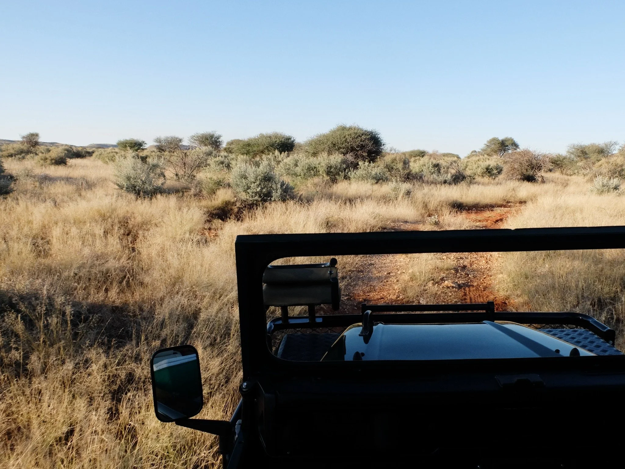 We&rsquo;re building more than structures; our aim is to shape a sanctuary. A place that offers complete immersion in nature, where herds roam free and guests are part of the landscape, not apart from it. Kameelhoek is becoming something extraordinar