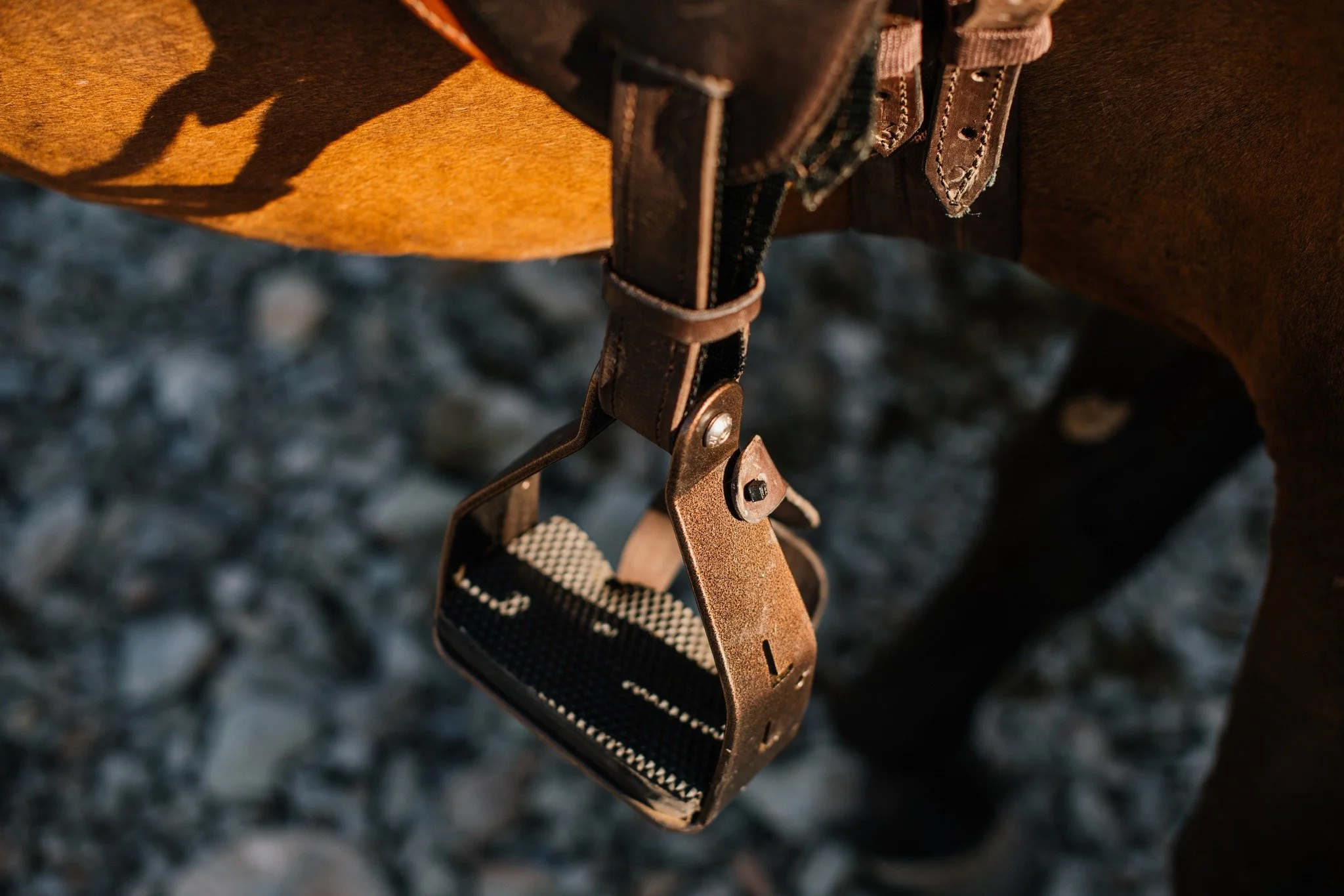 At Kameelhoek every detail matters, and everything on the conservation has a purpose and is part of a bigger mission.

#Kameelhoek #saddleup #Horses #Conservation