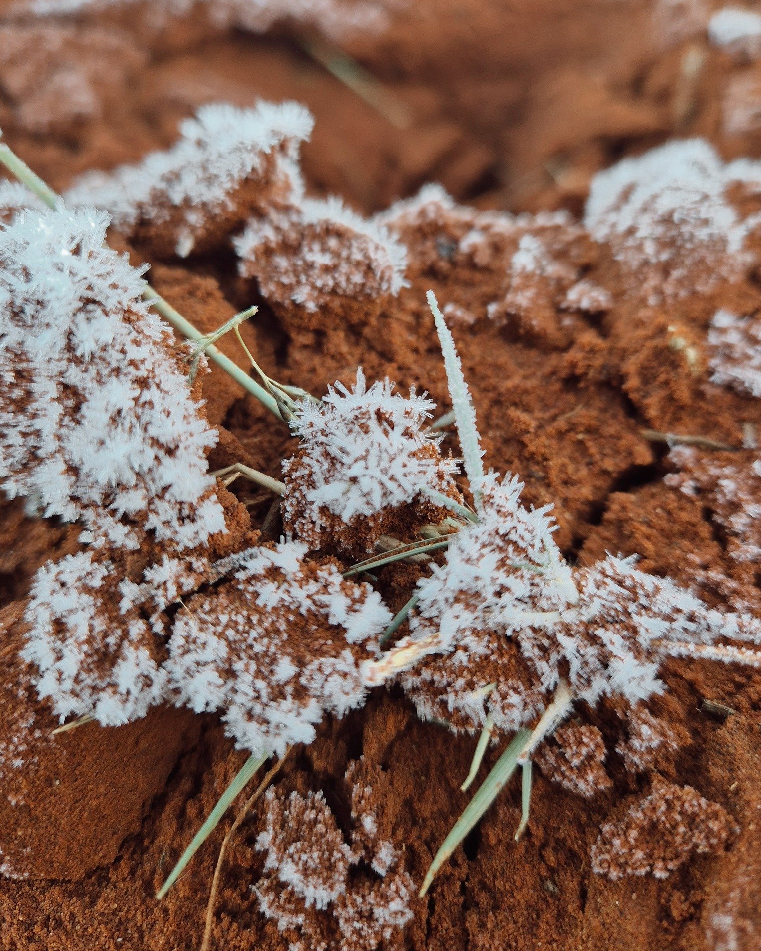 During winter, temperatures at Kameelhoek can drop to -6&deg;C, causing even the iron-rich red sand dunes to freeze.

#Kameelhoek #Winter #NorthernCape