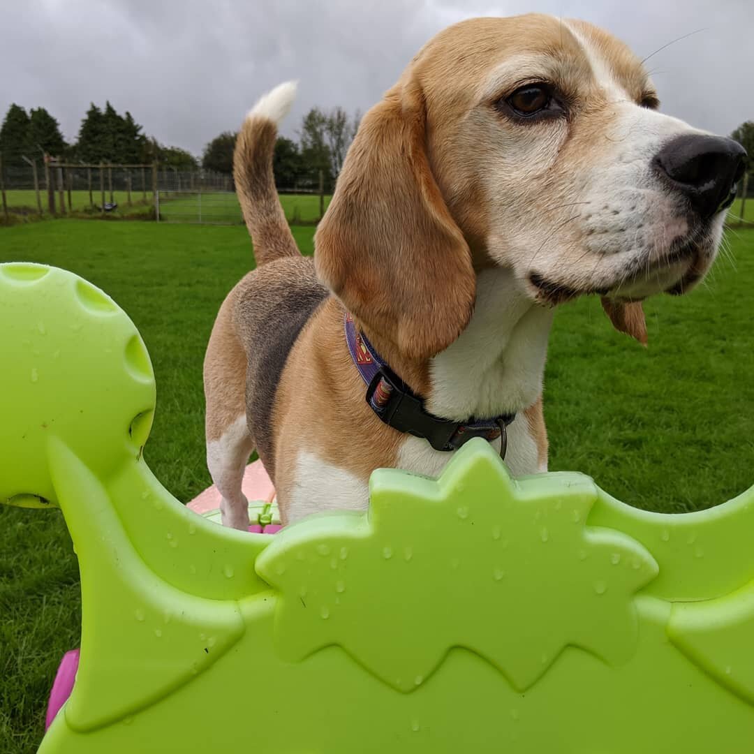 Chester, you are meant to go through Gus the Caterpillar not on top!