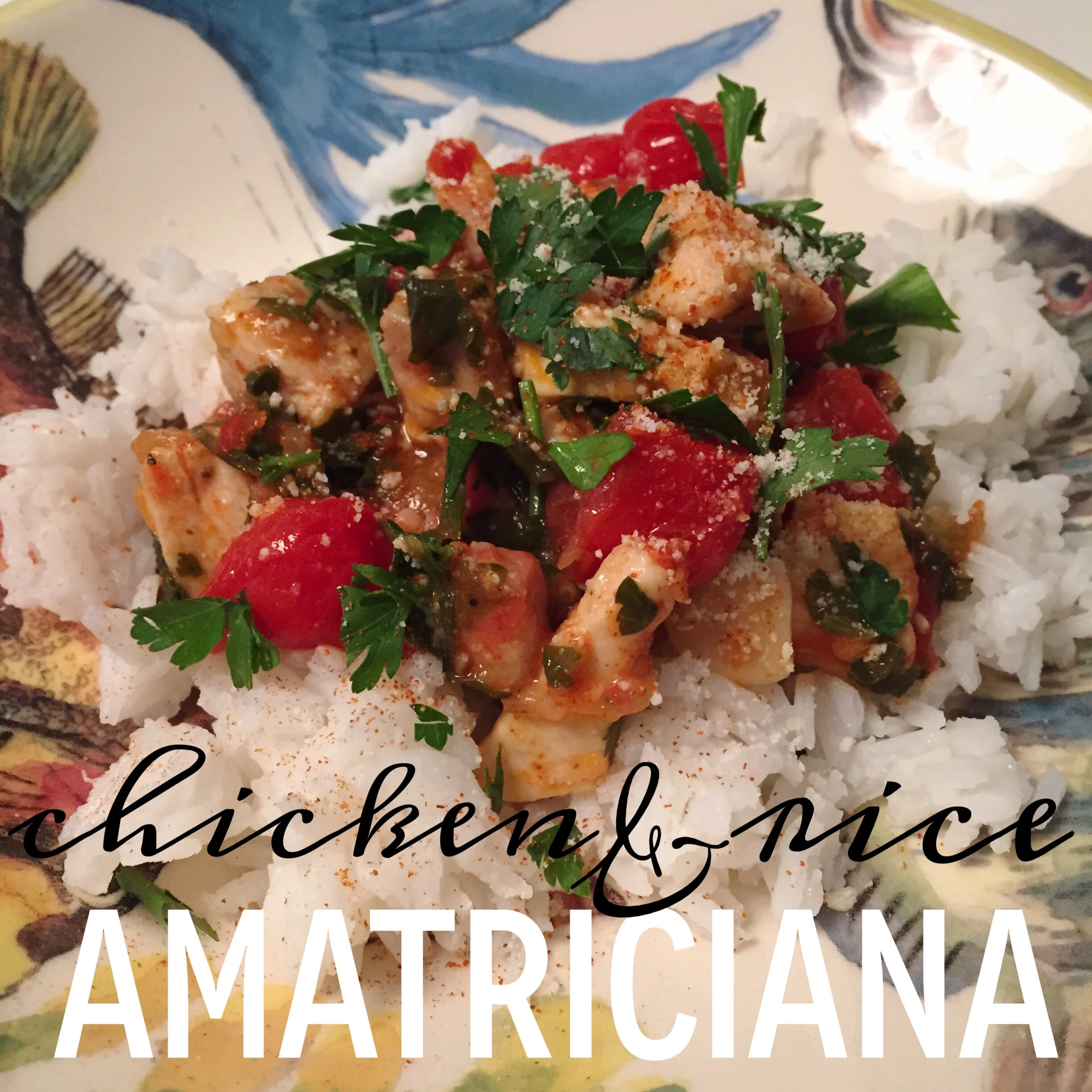 Chicken &amp; Rice Amatriciana