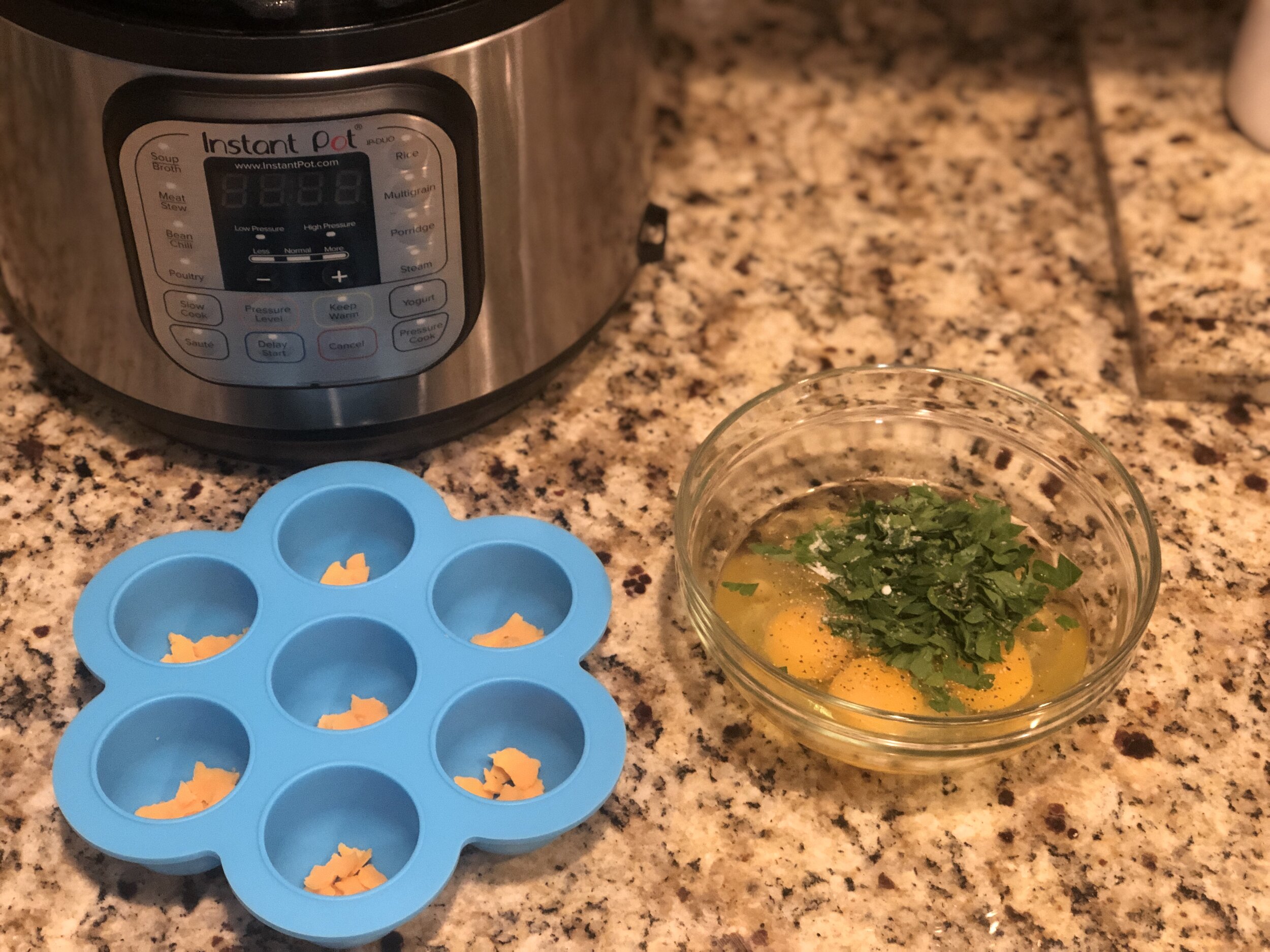 INSTANT POT BREAKFASTS USING SILICONE EGG BITE MOLD 