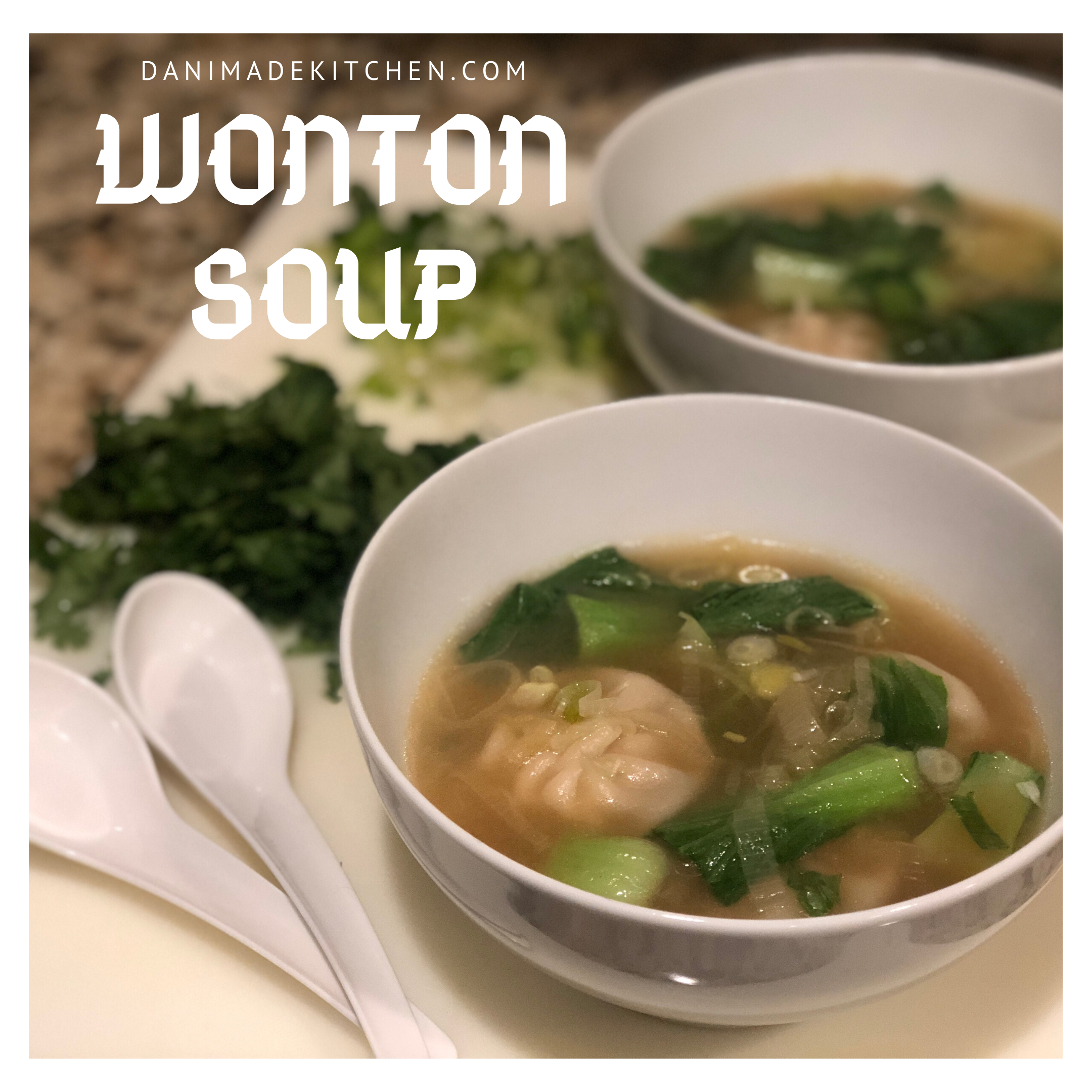Wonton Soup