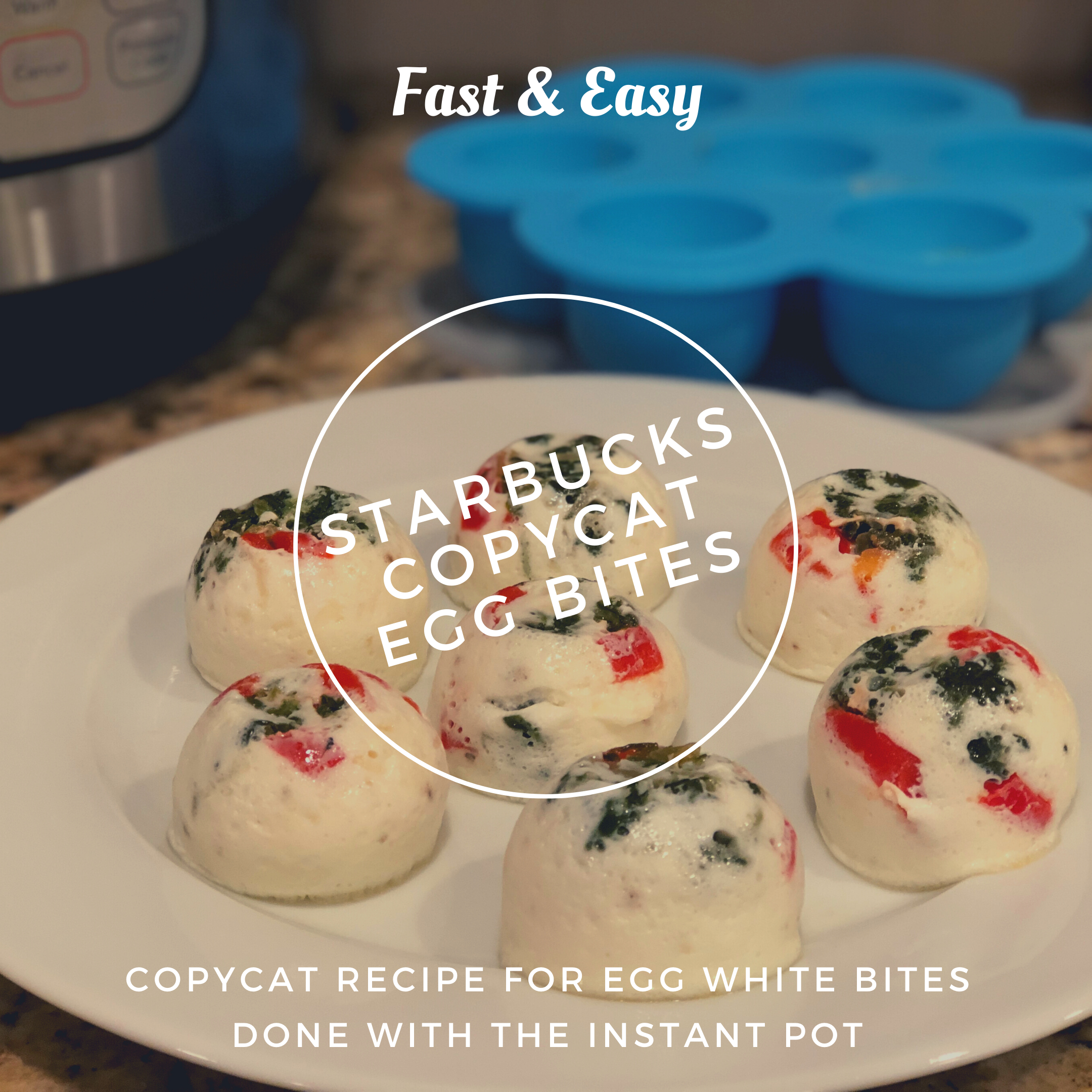 Copycat Starbucks Egg Bites