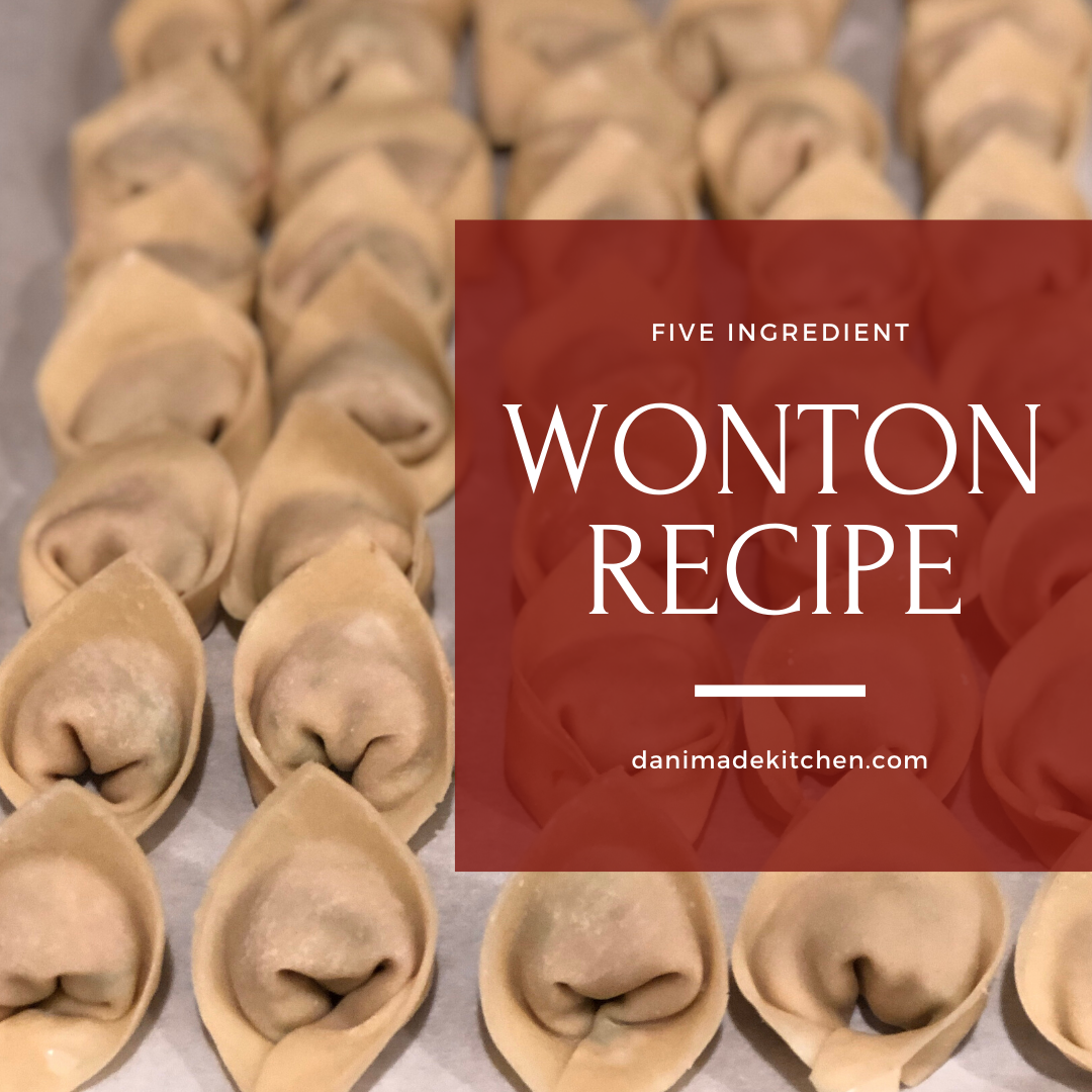 Easy Homemade Wontons