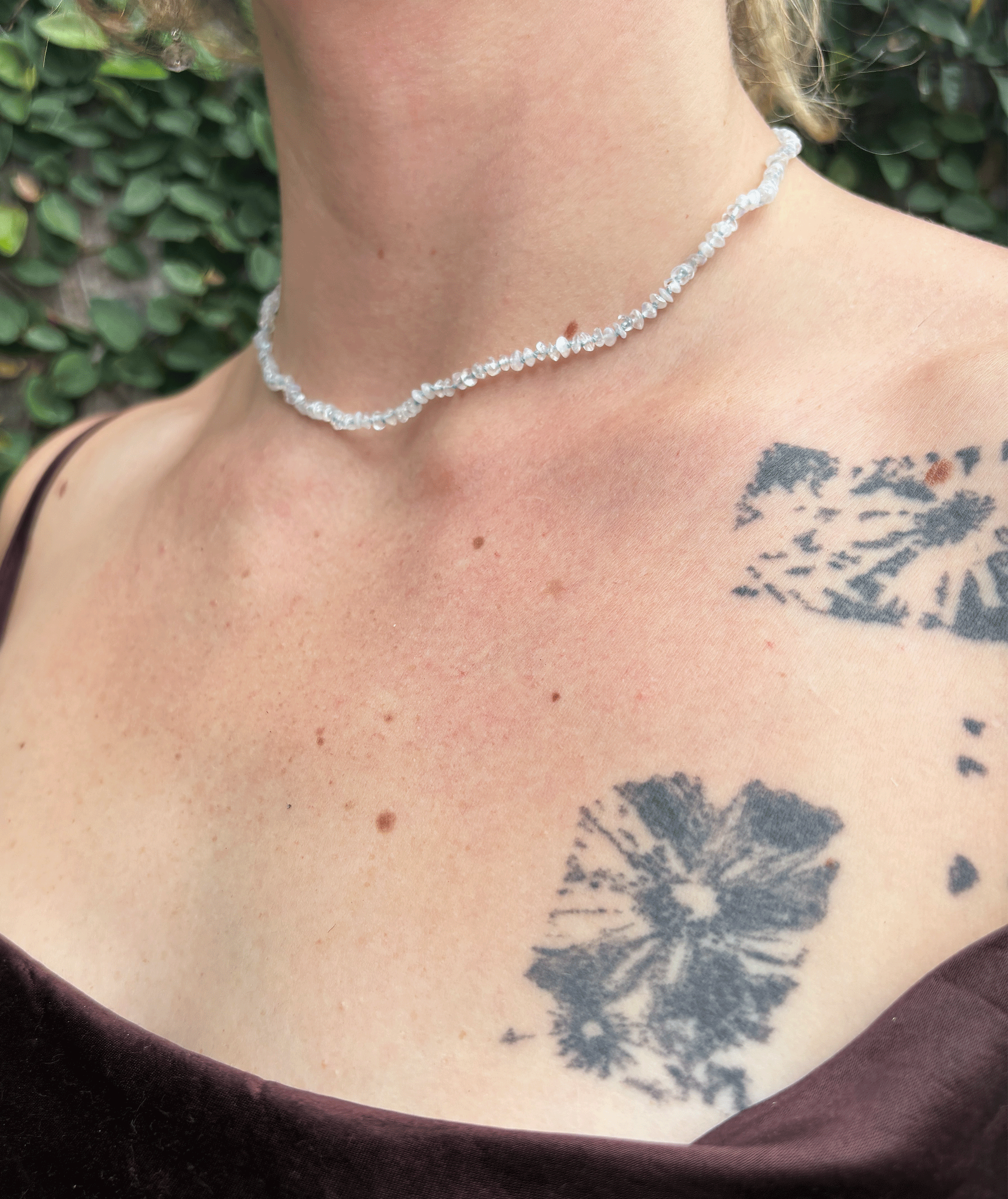 edelweiss1.gif