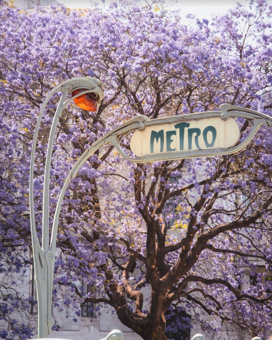 Florida Plans for Transportation Growth &amp; Innovation in the Sunshine State