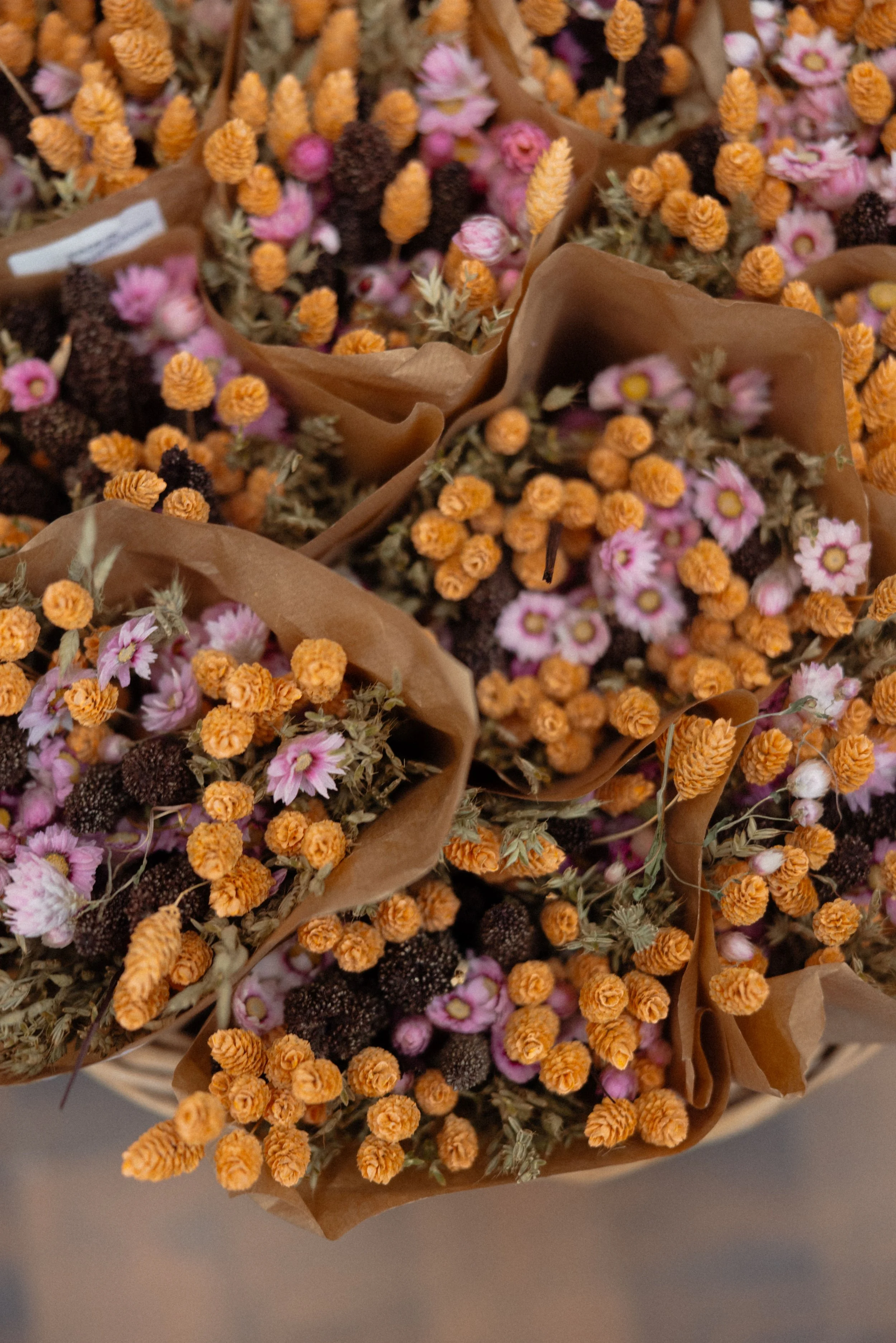 The Lifestyle Edit - Autumn in Full Swing