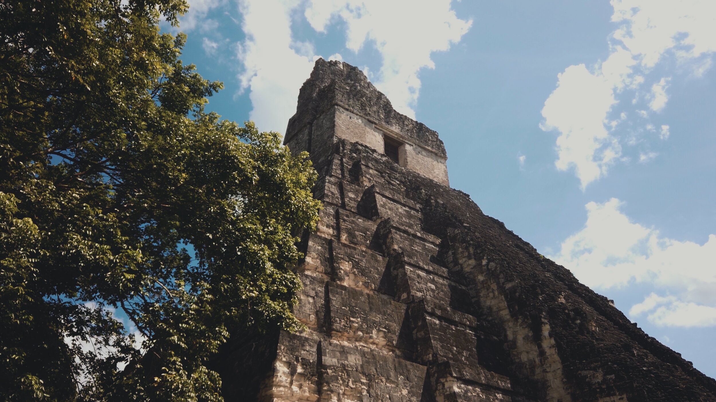 MAYA : ANCIENT METROPOLIS