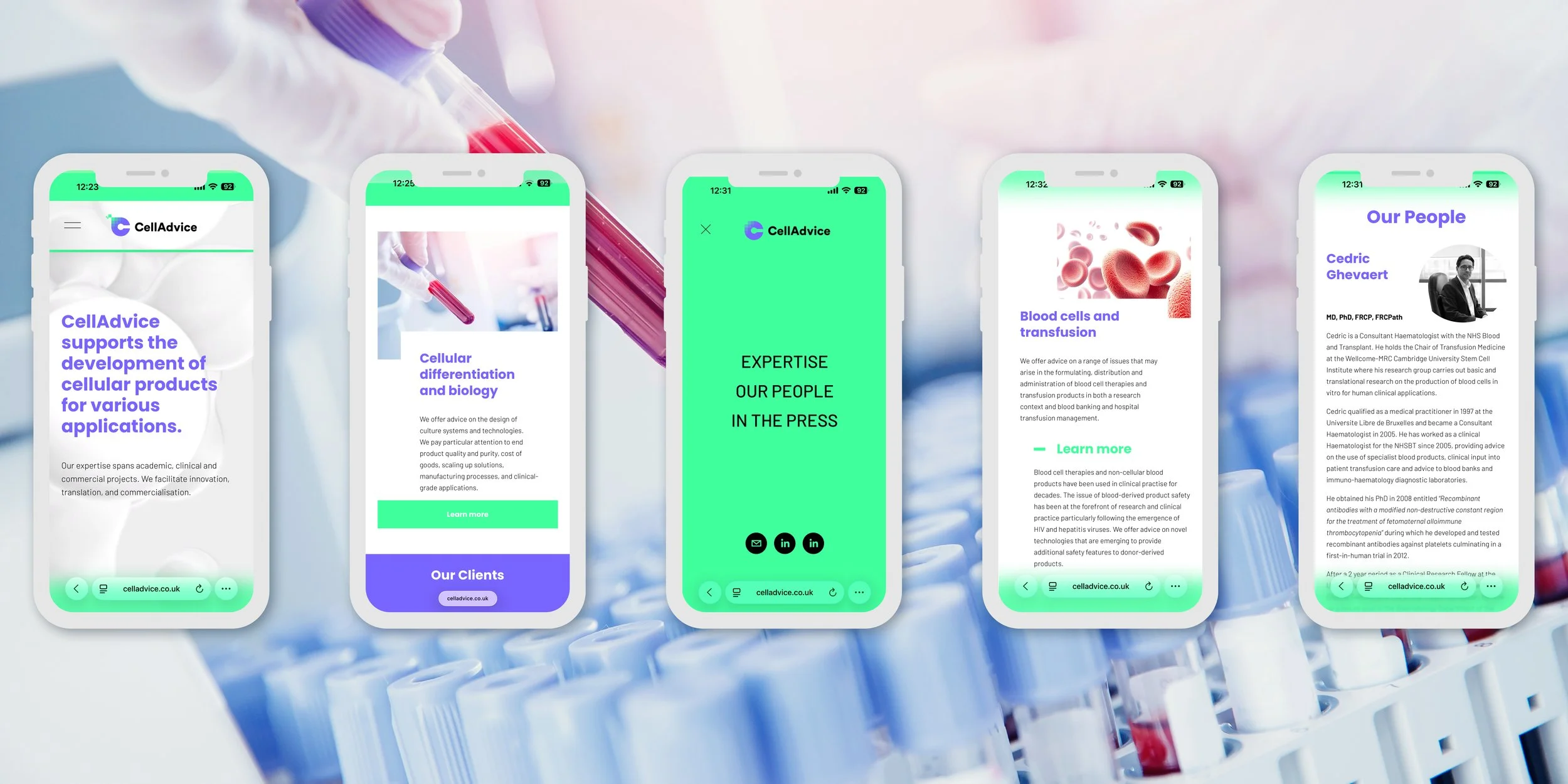 Invisible Studio Web Digital layouts.jpg