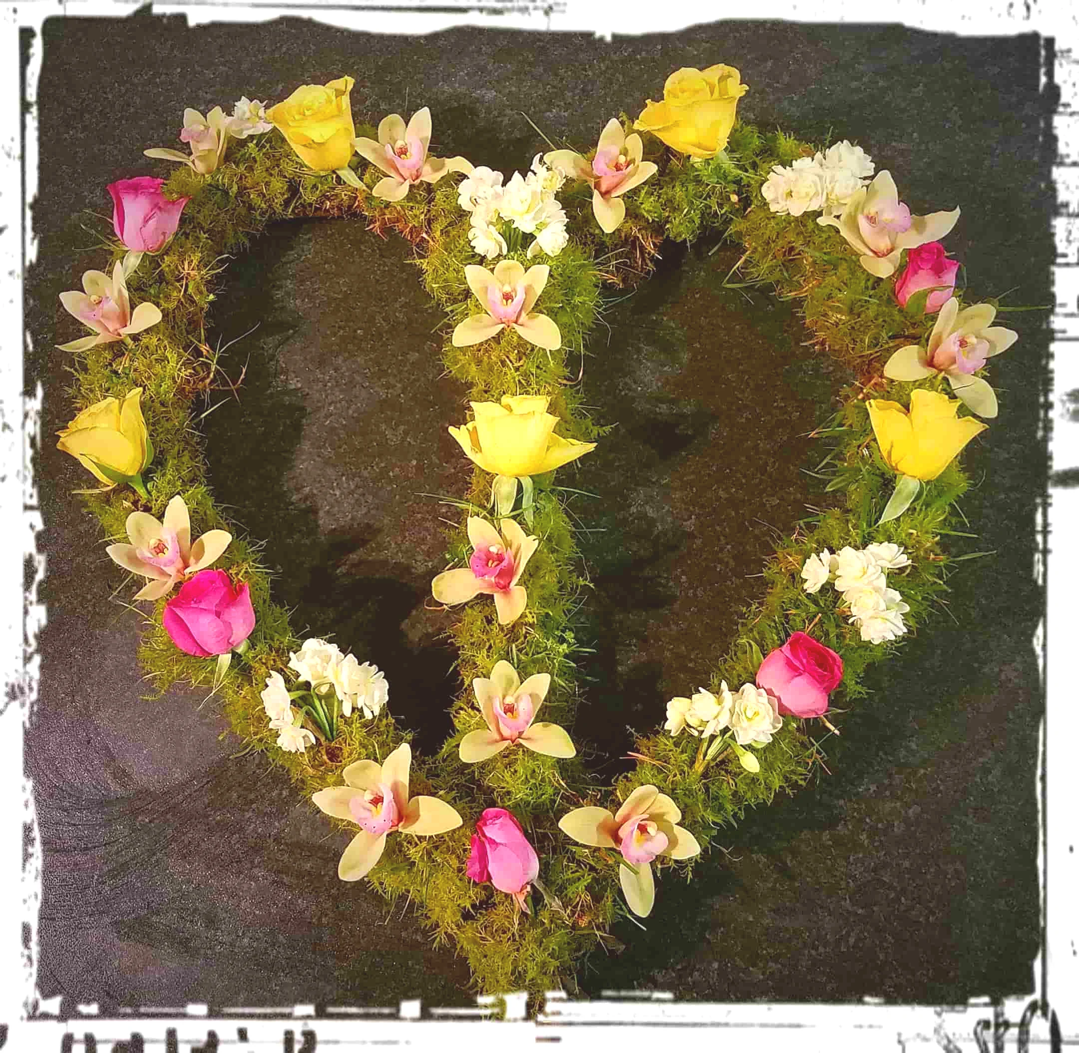 Simple, homemade winter wreath from Karen’s garden and shop-bought roses (Total cost: $14)