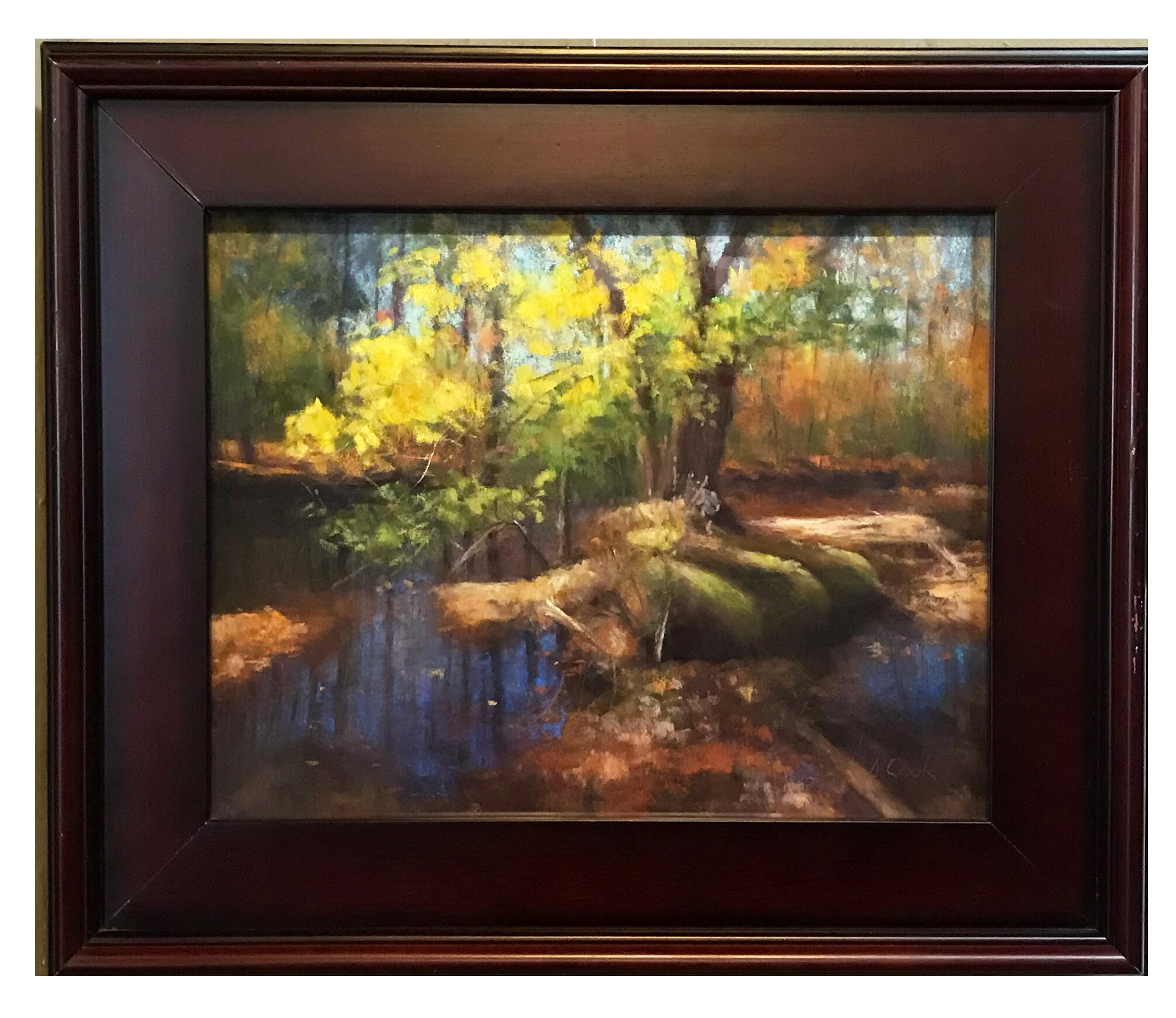 38. Fall Reflections
