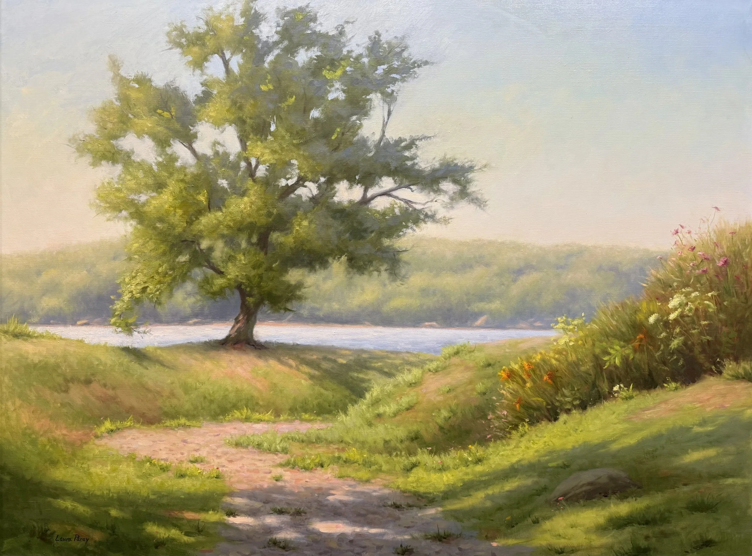 Members' Landscape Show