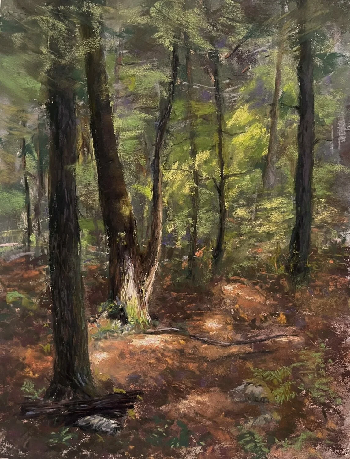   21. Lisa DeLuise    Dappled Light   Pastel, 12 x 9  $350 