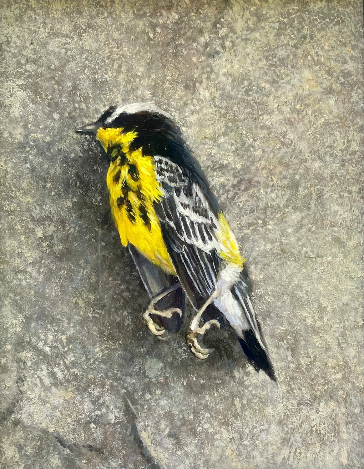   56. John Mathias    Memorial   Oil, 14 x 11  $500   Dana DiMuro Award for Still Life  