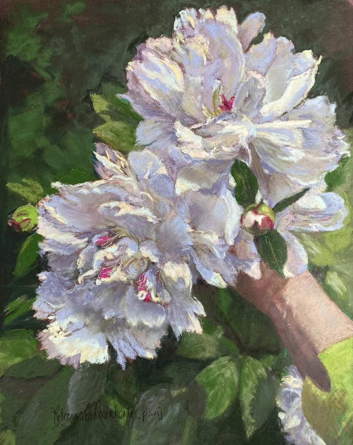   83. Rebecca Lea Rosenheck    Magical Peonies   Pastel, 14 x 11  $950   Pastel Society of America Award  
