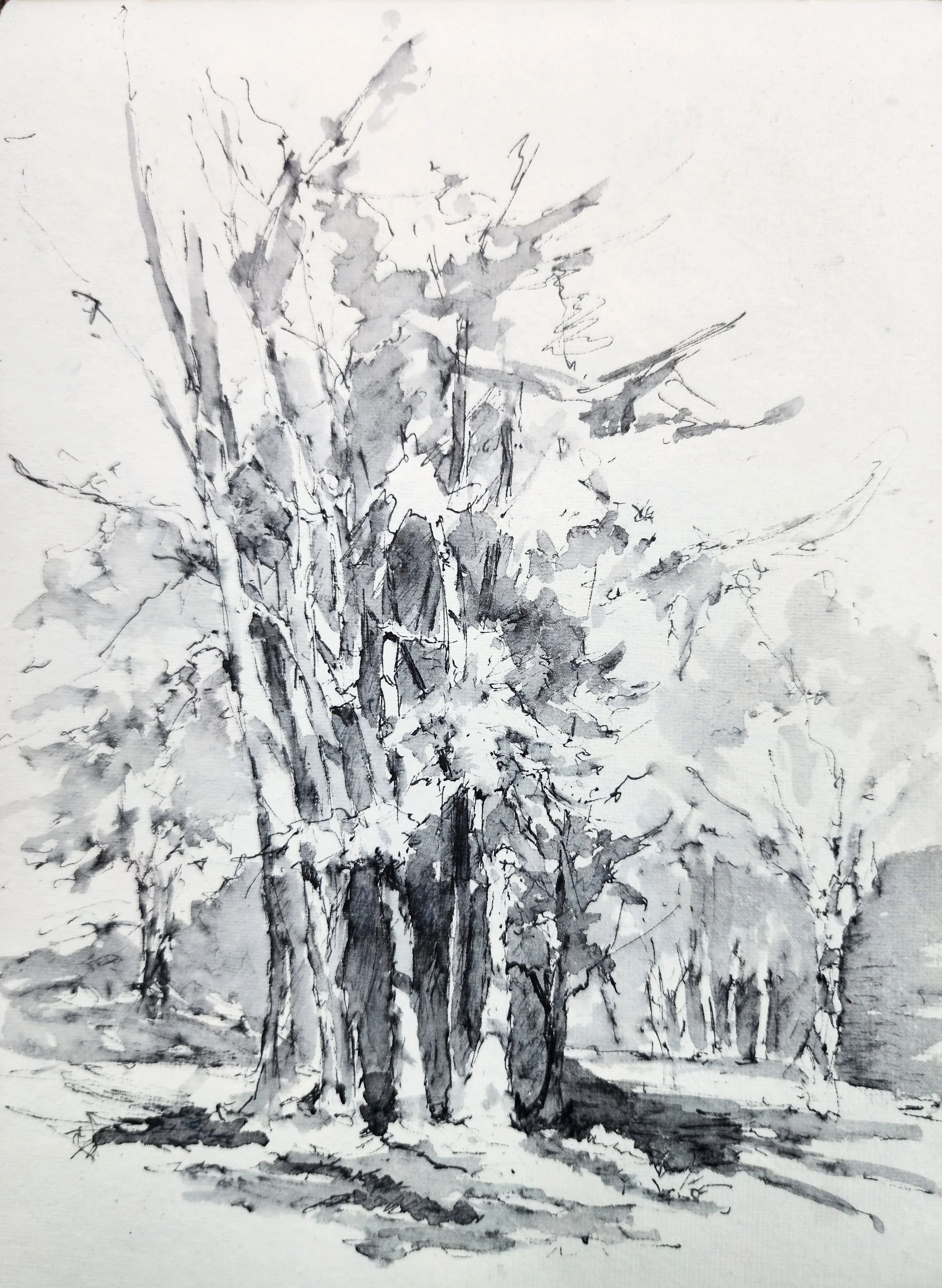 Art Lecture Series: Jose F. Morales, Capturing Light