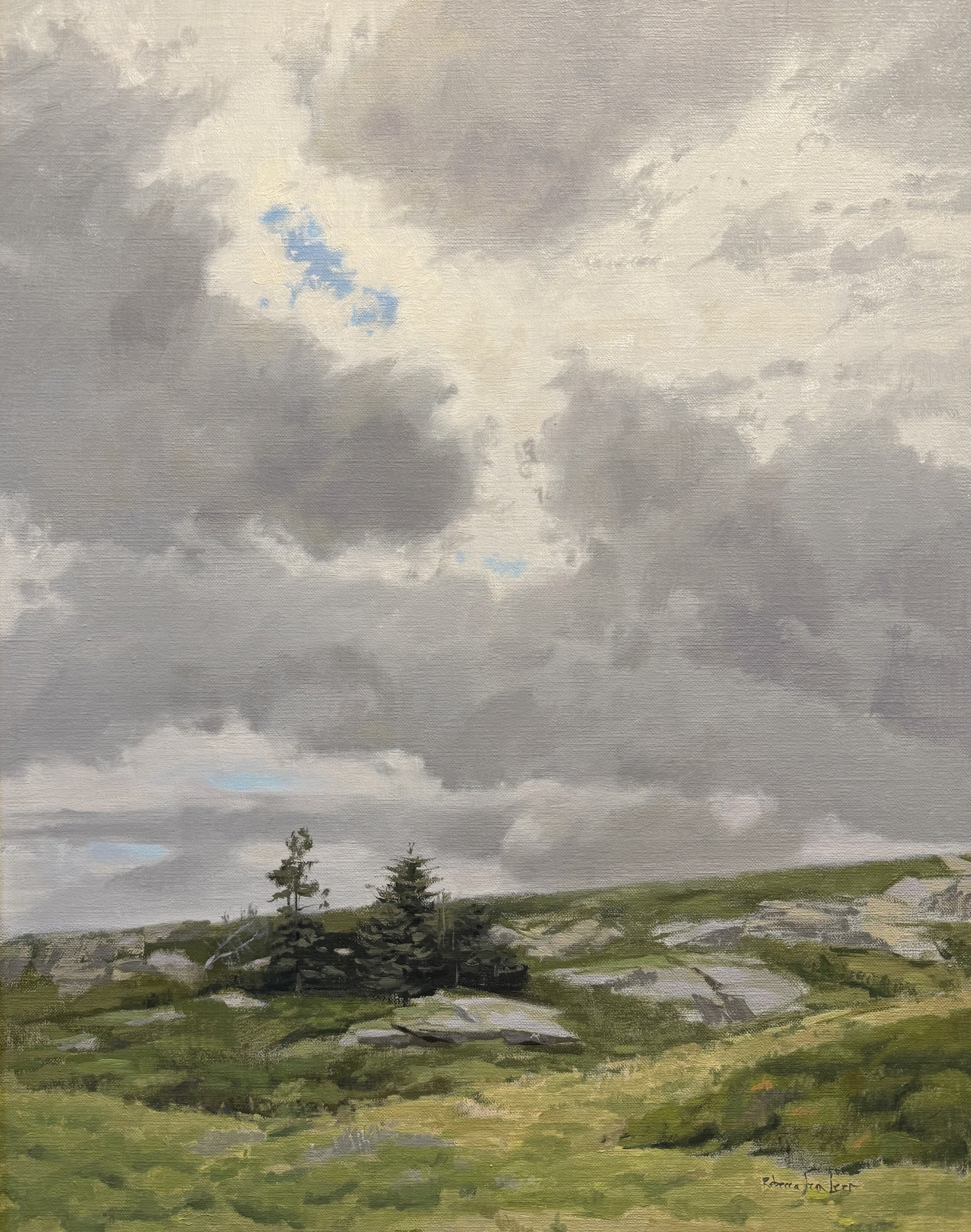   Co-Chair: Rebecca Leer    Clouds Over Manana   $2250 