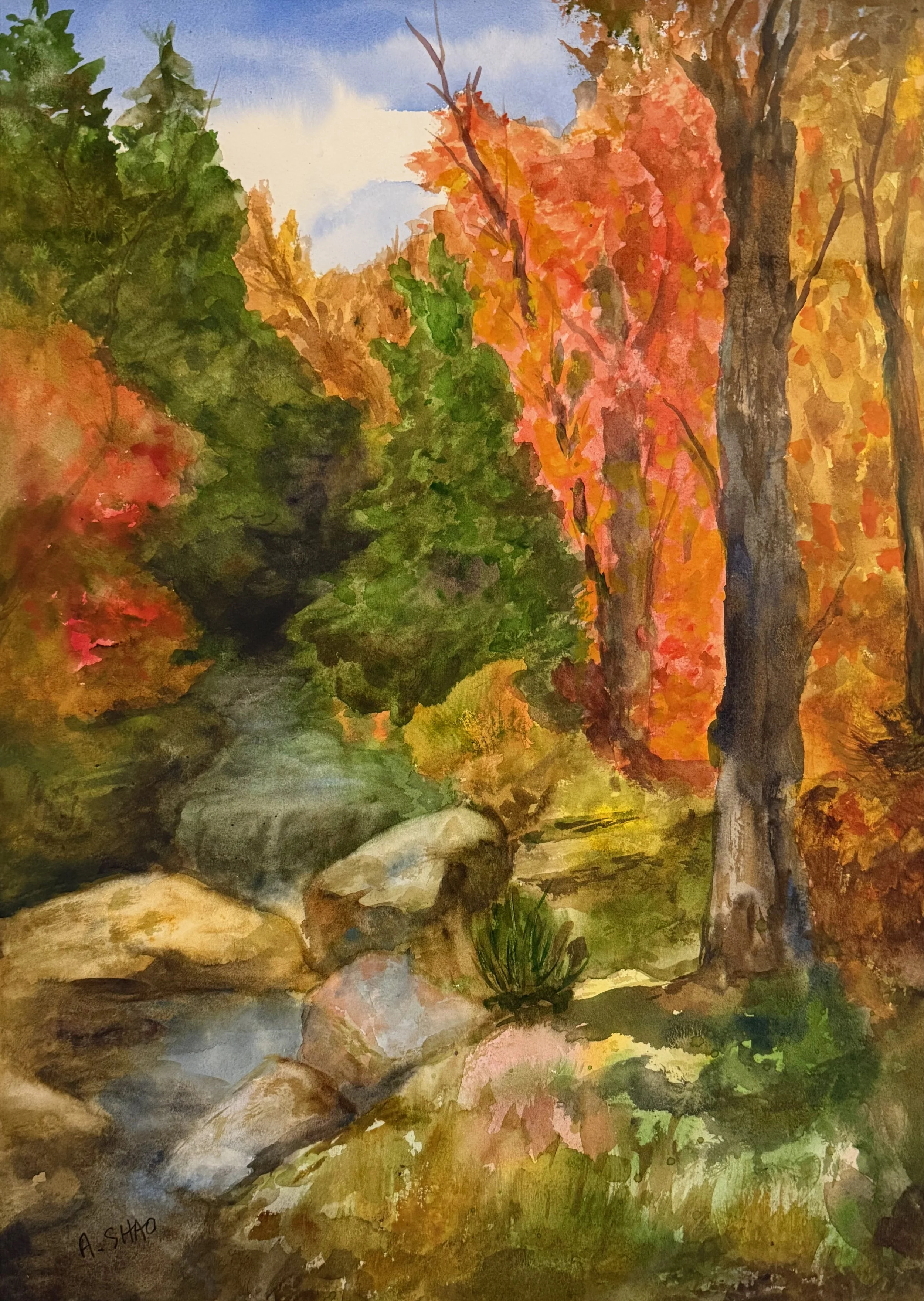   2. Anita Shao    Joy of Color   Watercolor 