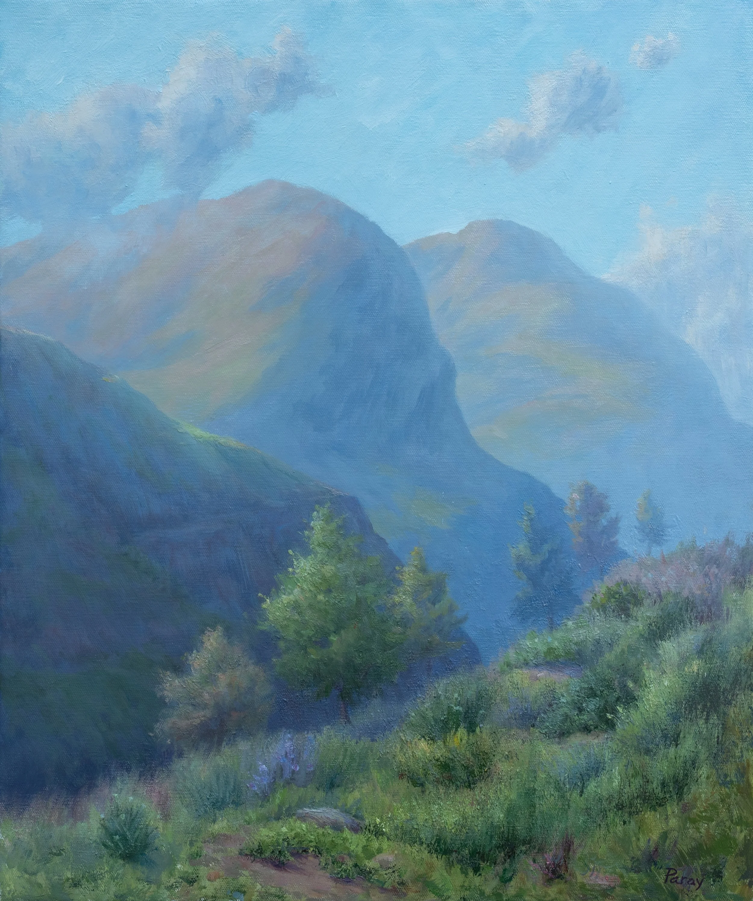 Paray_L_Glorious Glencoe.jpeg