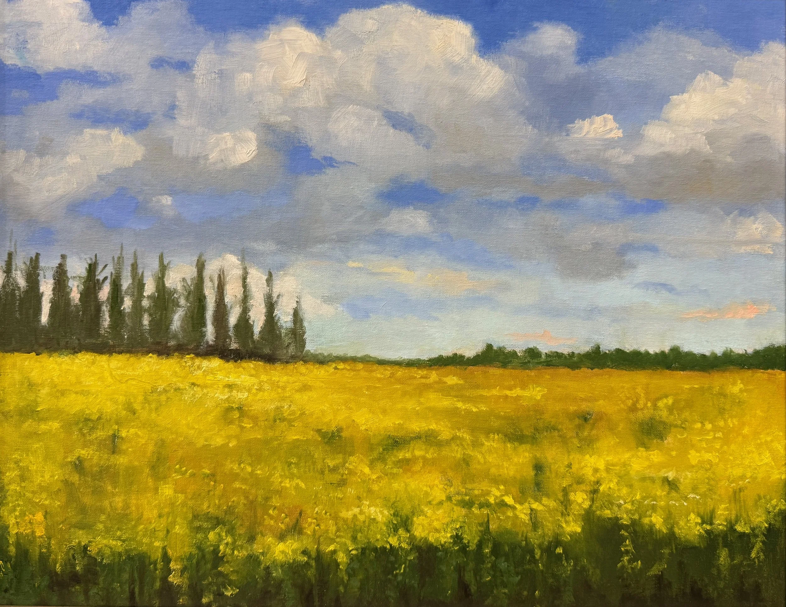   12. Julie Fornaci    Vincent's View   Oil, 16x20 