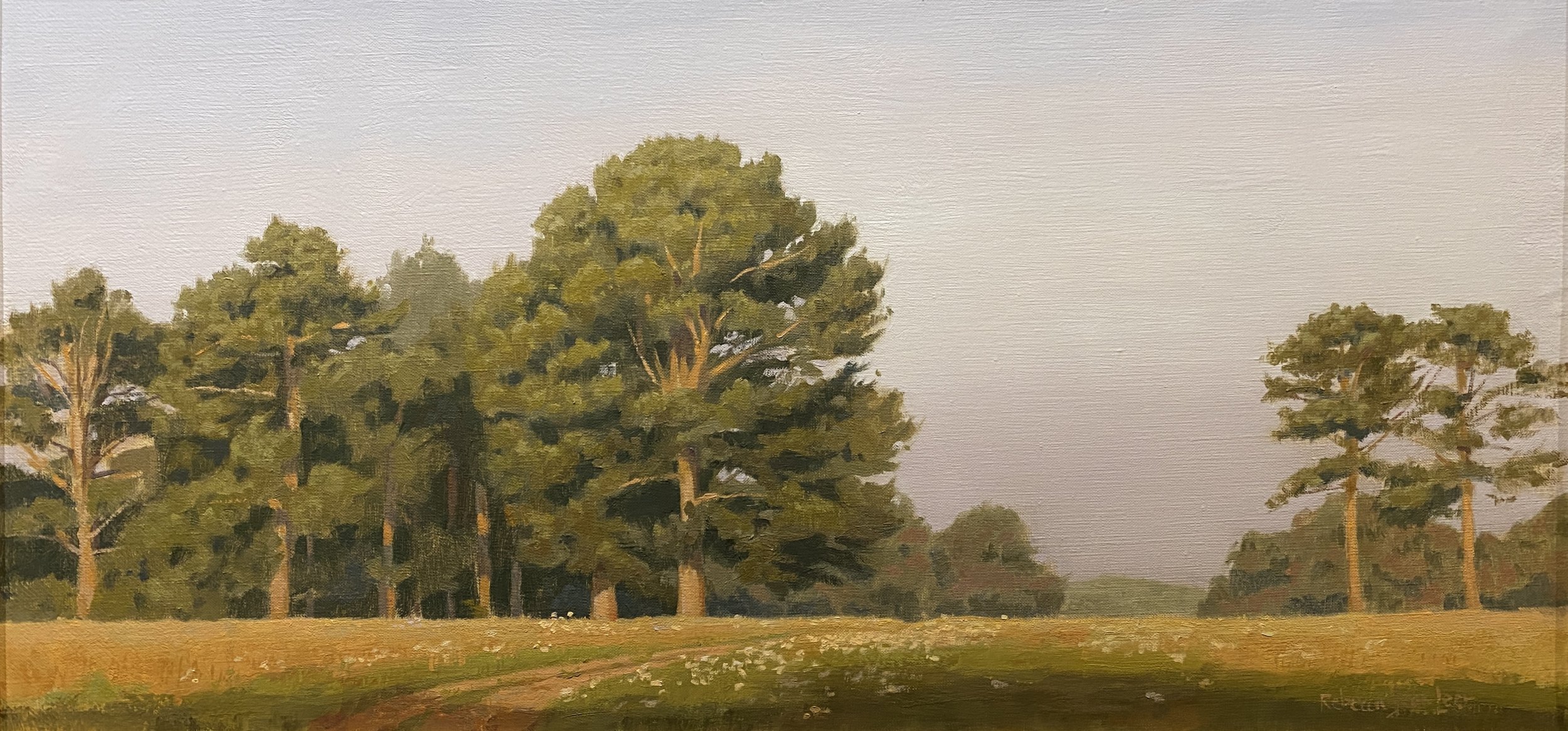 Fullness of Missouri Pines.jpg