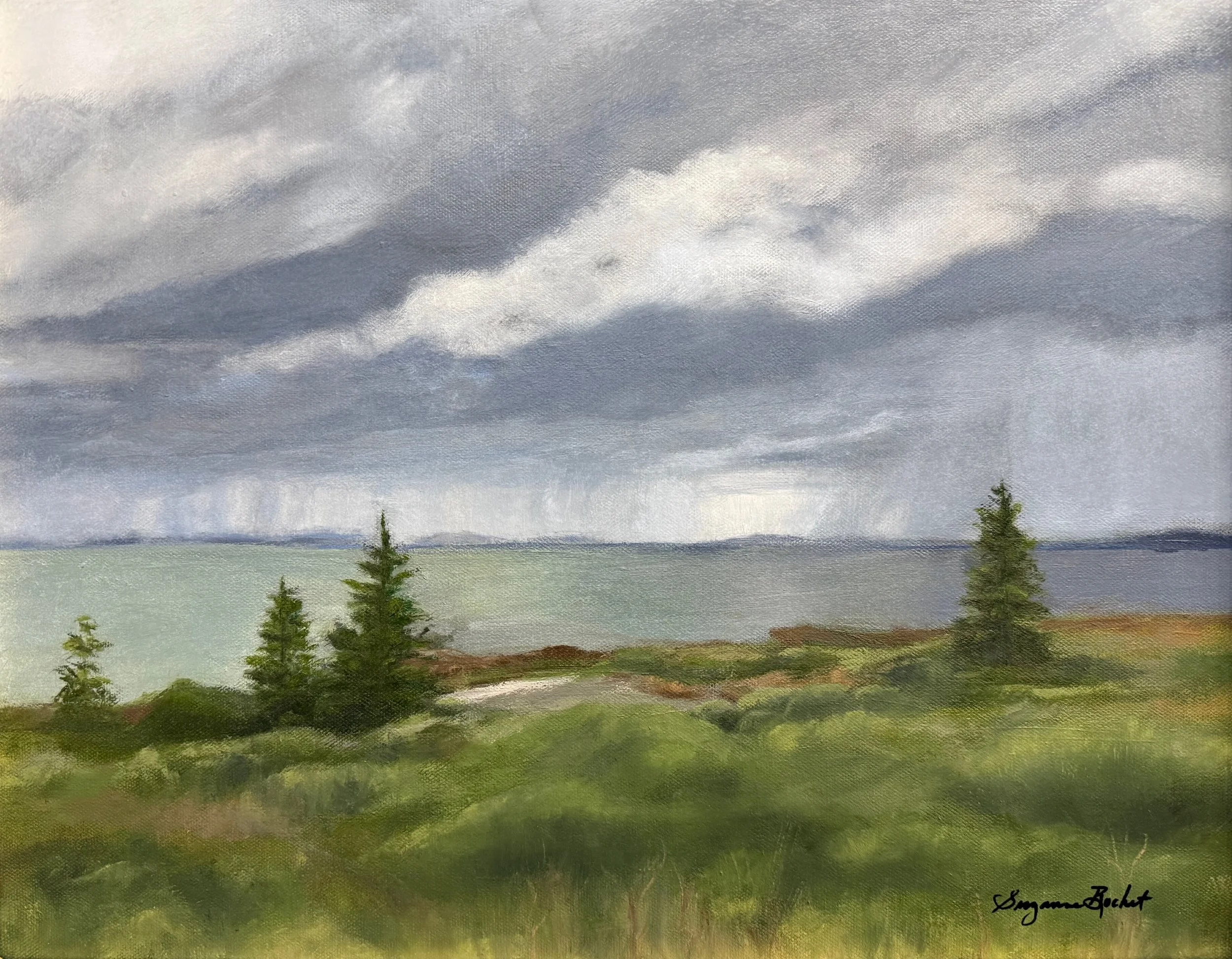   70. Suzanne Bochet    Rain Shower   Oil, 16x20 